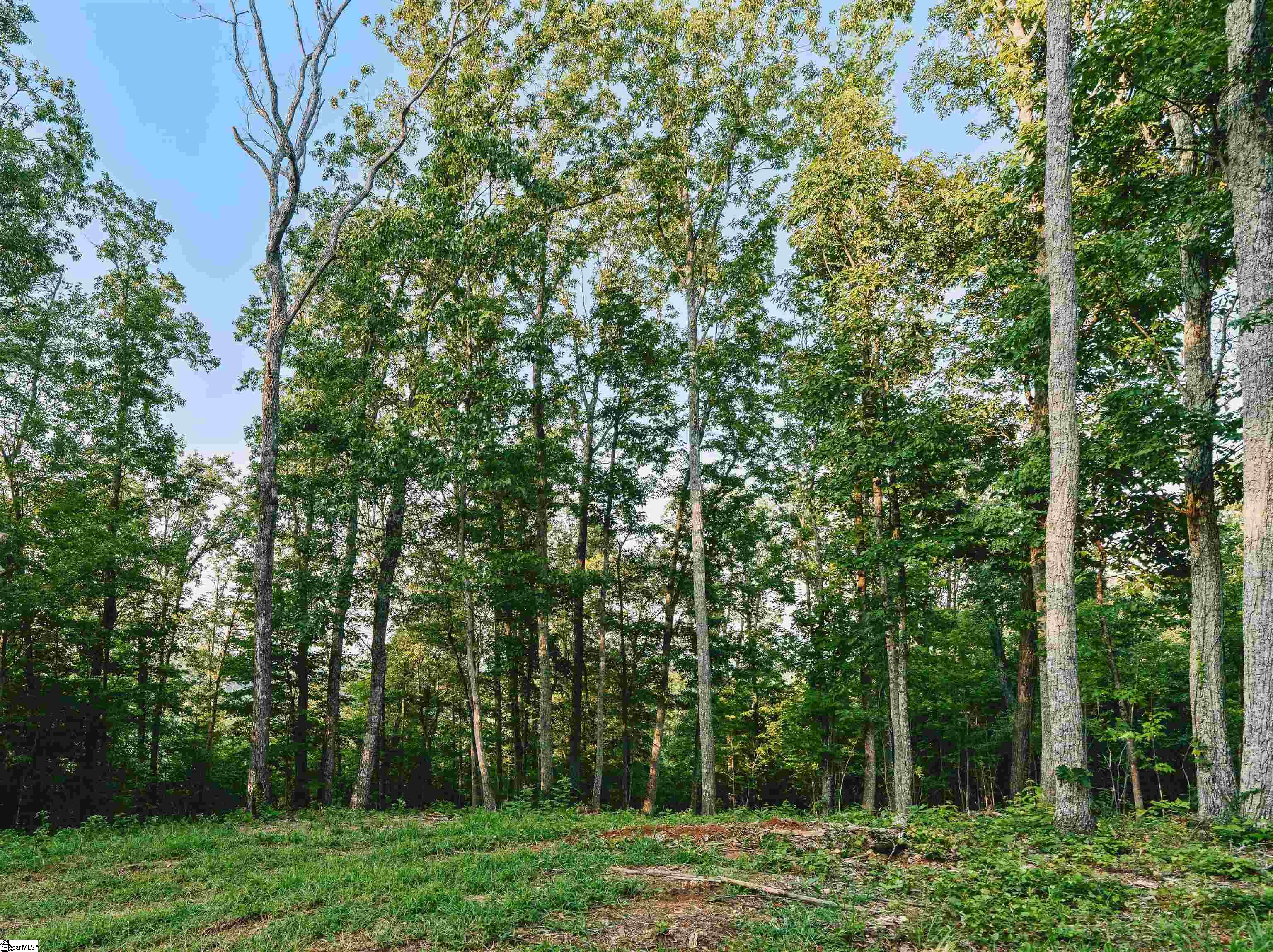 200 Chestnut Mountain Road Property Photo 3