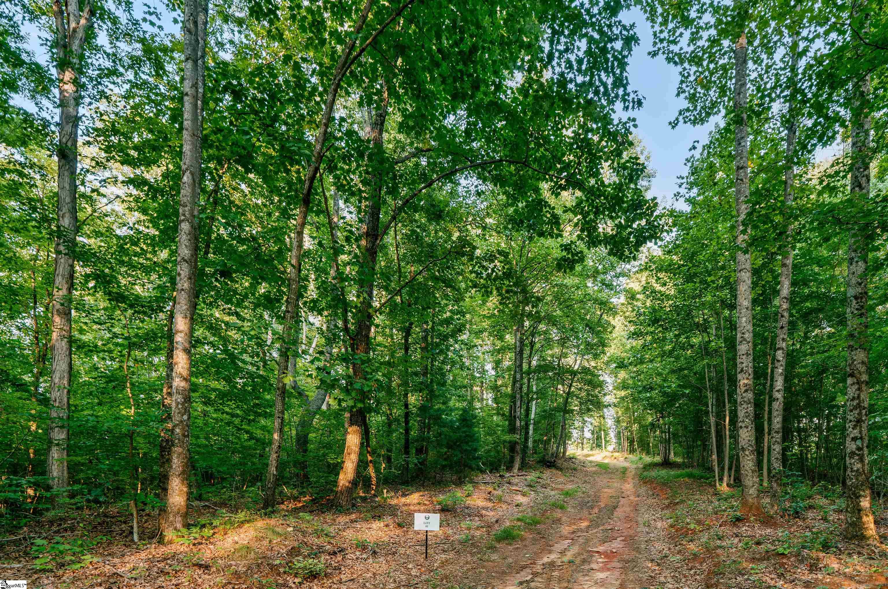 200 Chestnut Mountain Road Property Photo 6