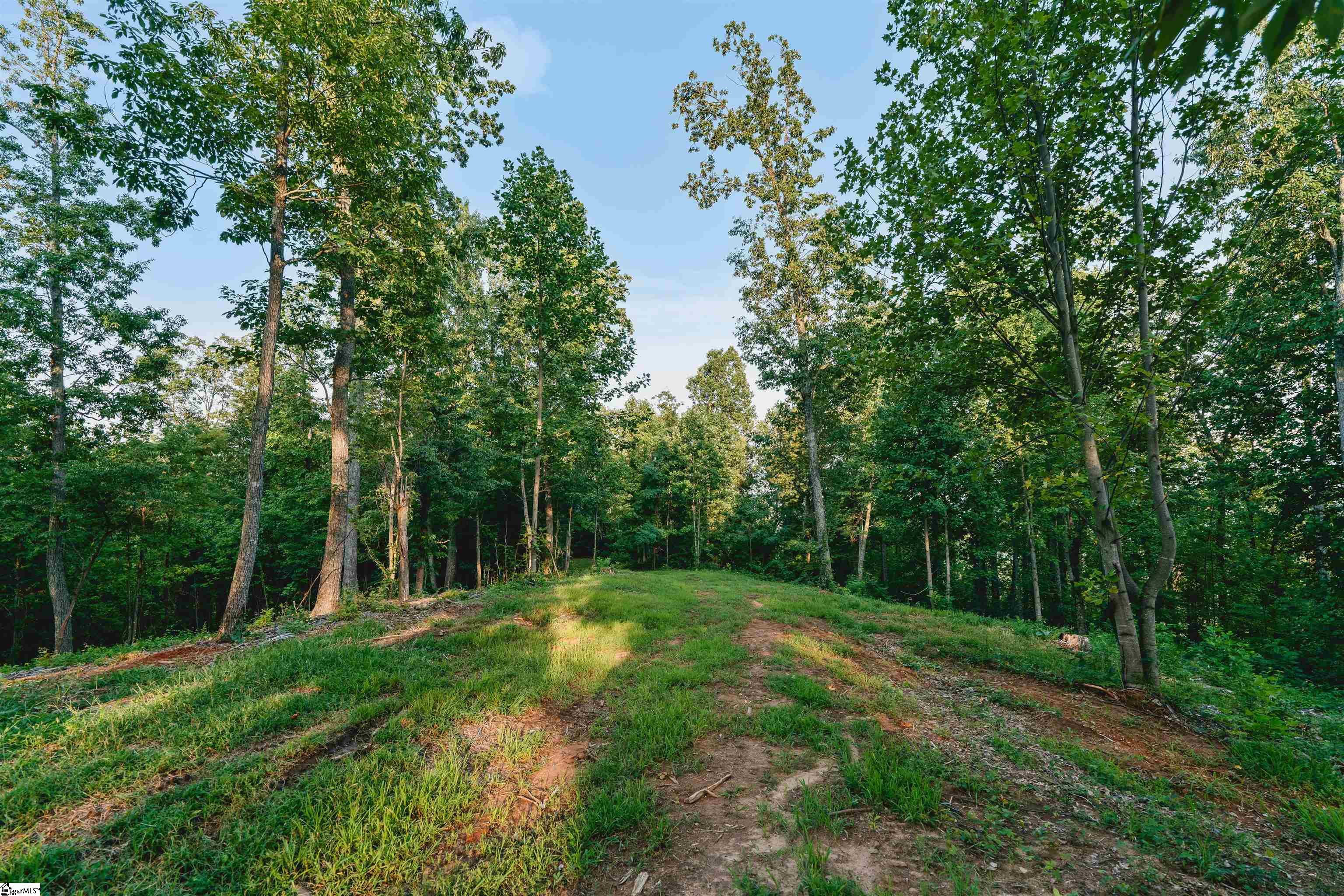 200 Chestnut Mountain Road Property Photo 7