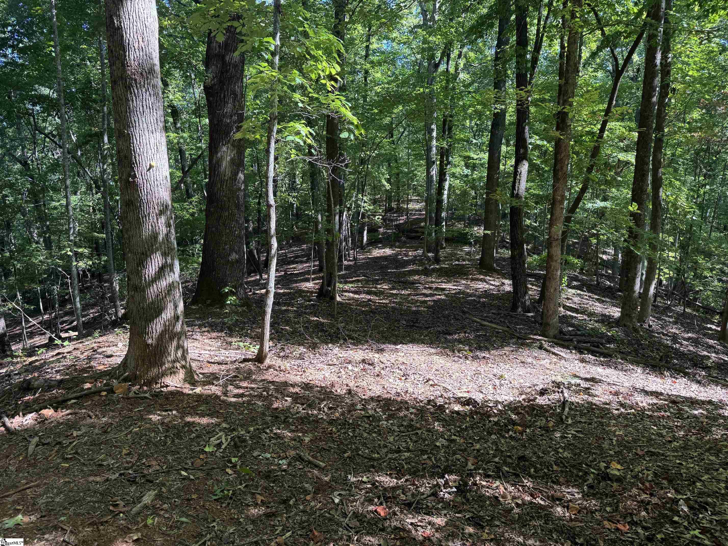 Highway 11 Property Photo 6