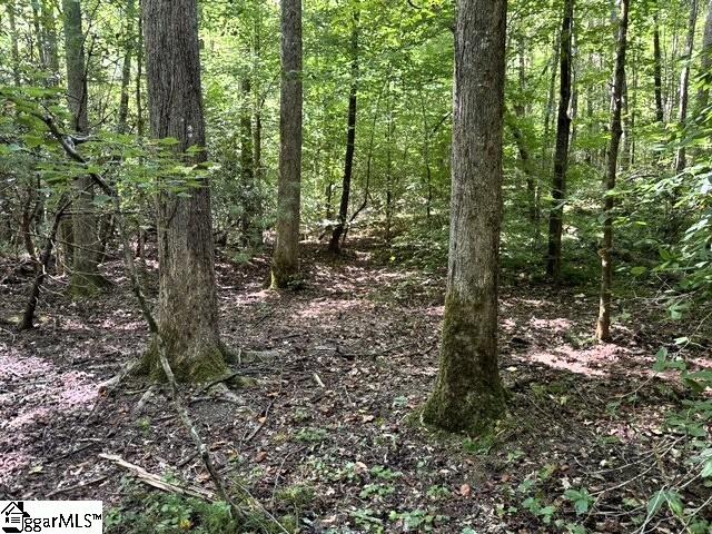 Highway 11 Property Photo 12