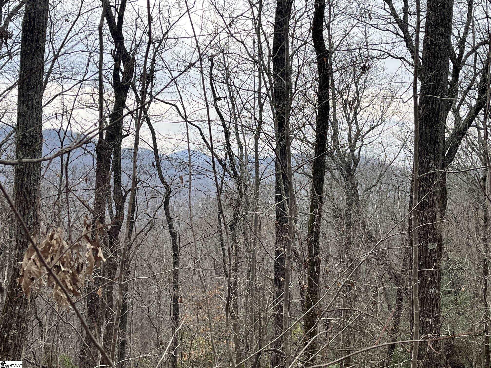 Highway 11 Property Photo 23