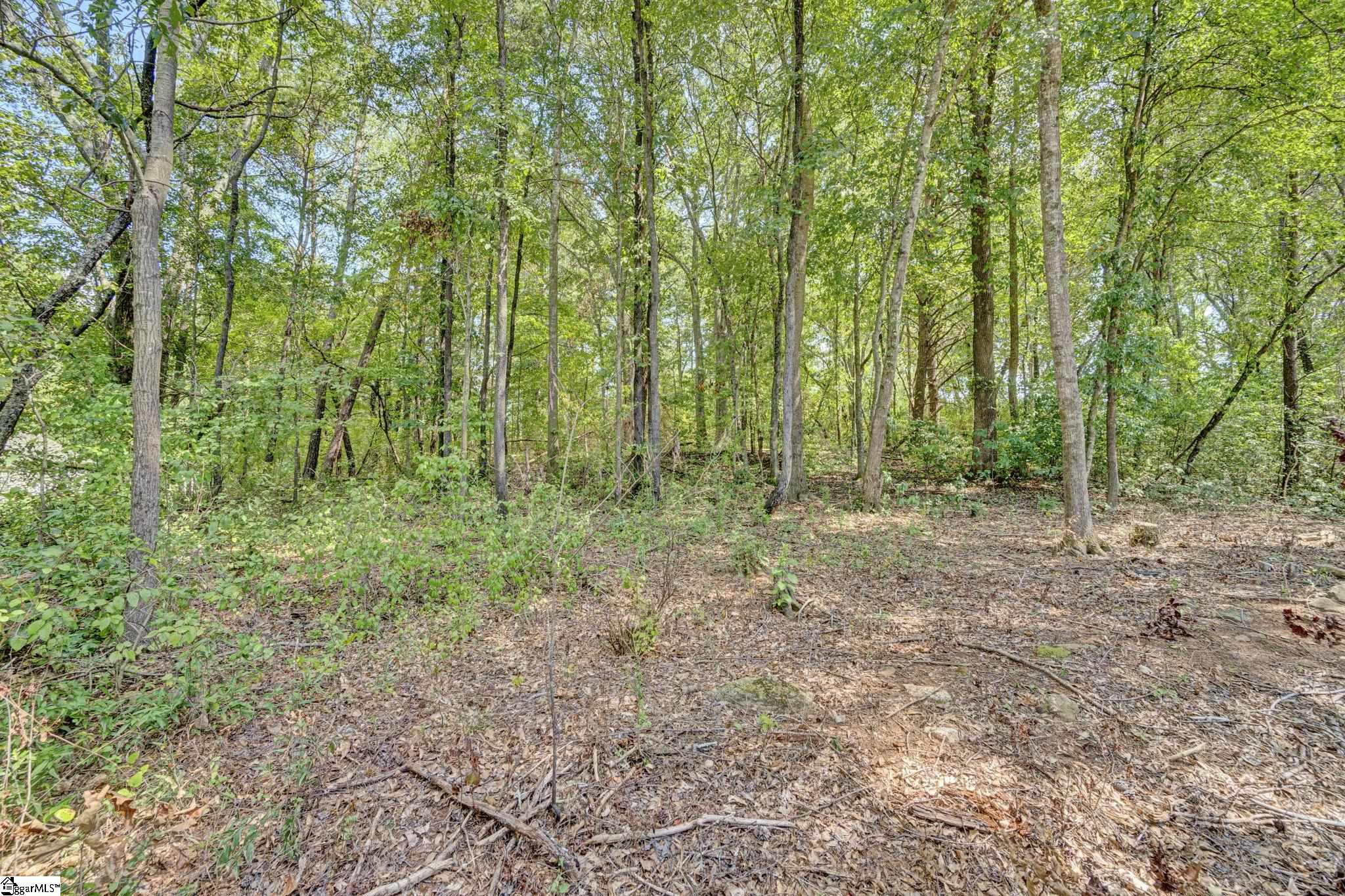 2103 Gap Creek Road Property Photo 31