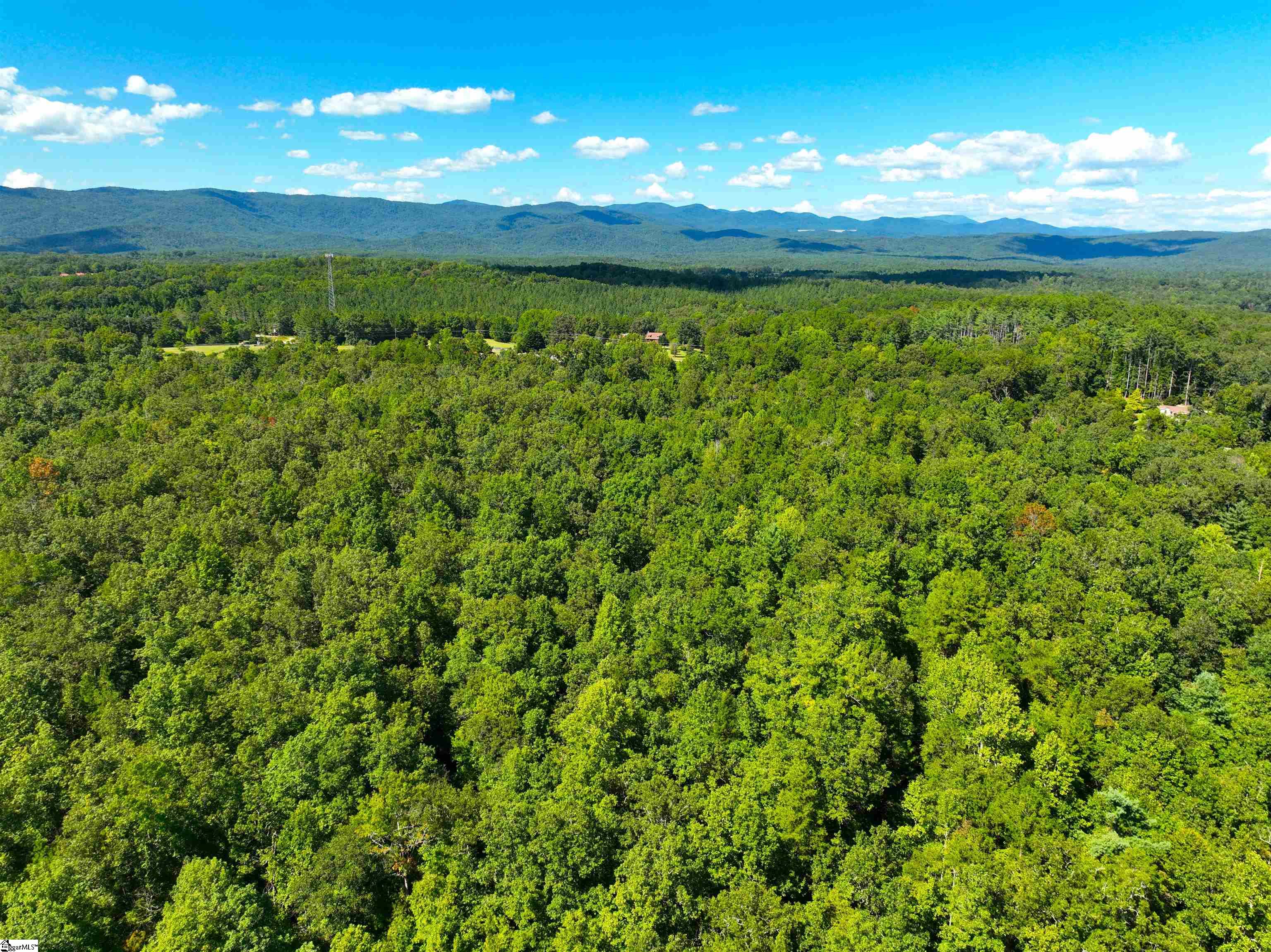 00 Whitmire Church Road Property Photo 2
