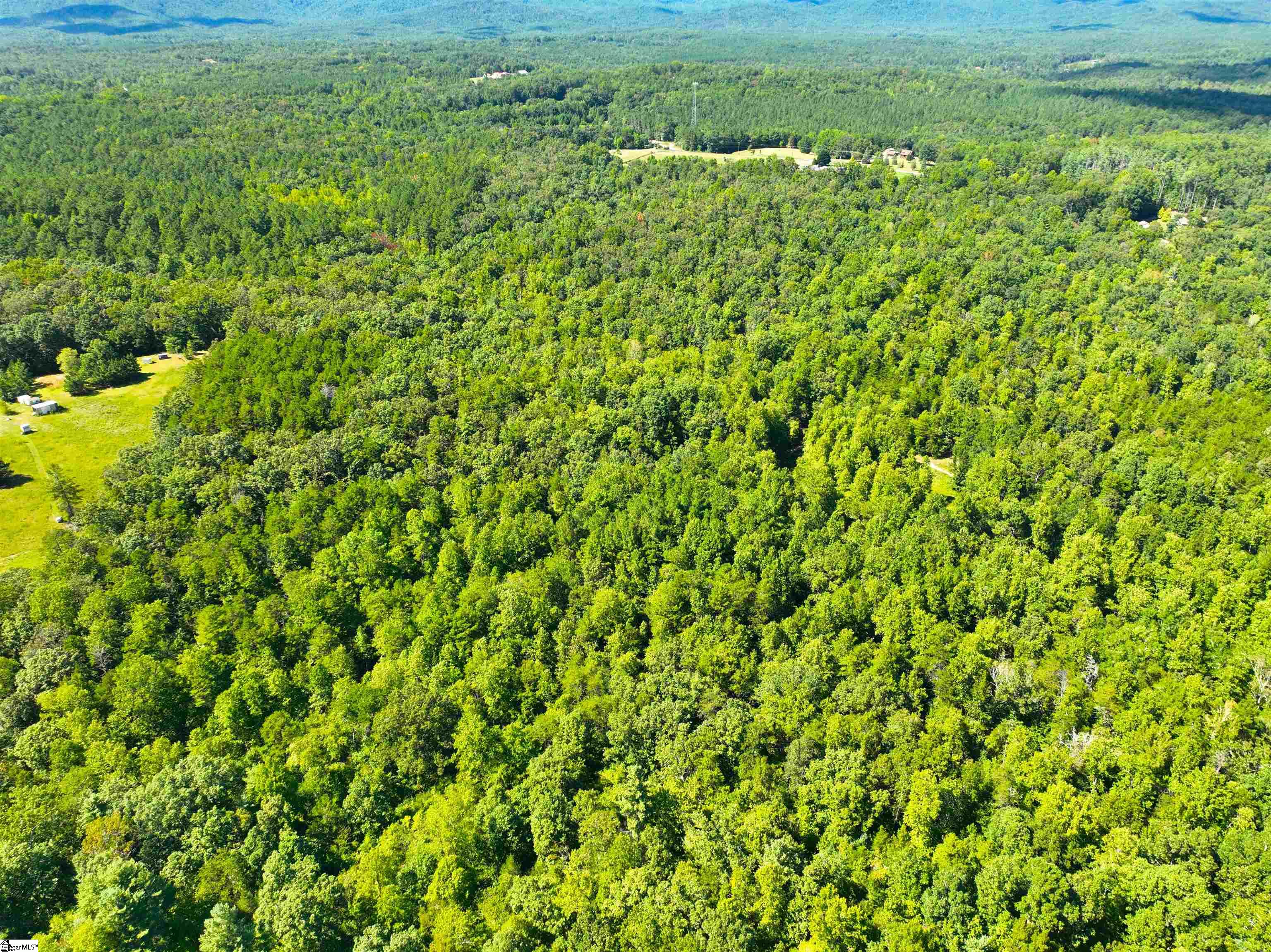 00 Whitmire Church Road Property Photo 3