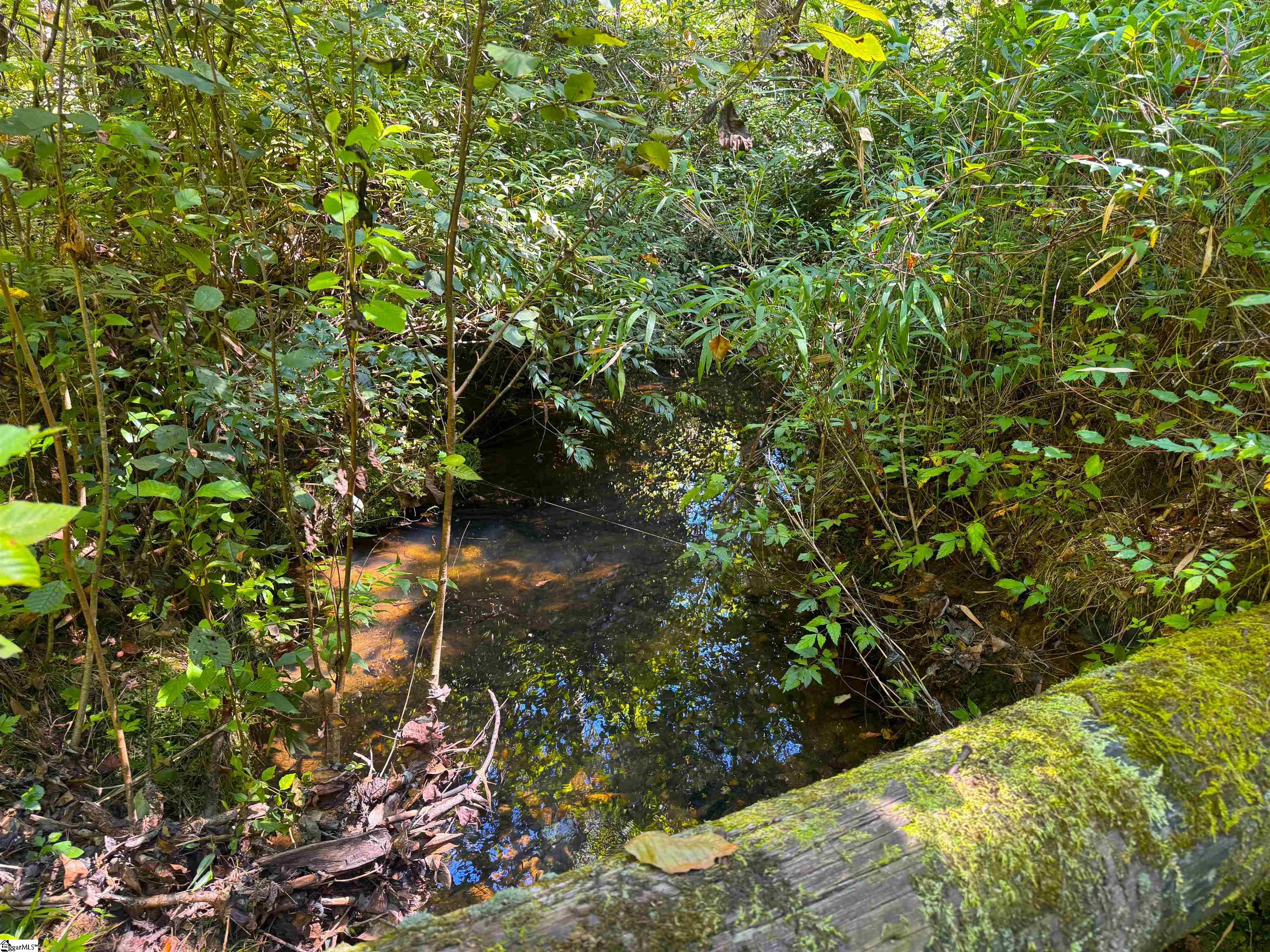 00 Whitmire Church Road Property Photo 12