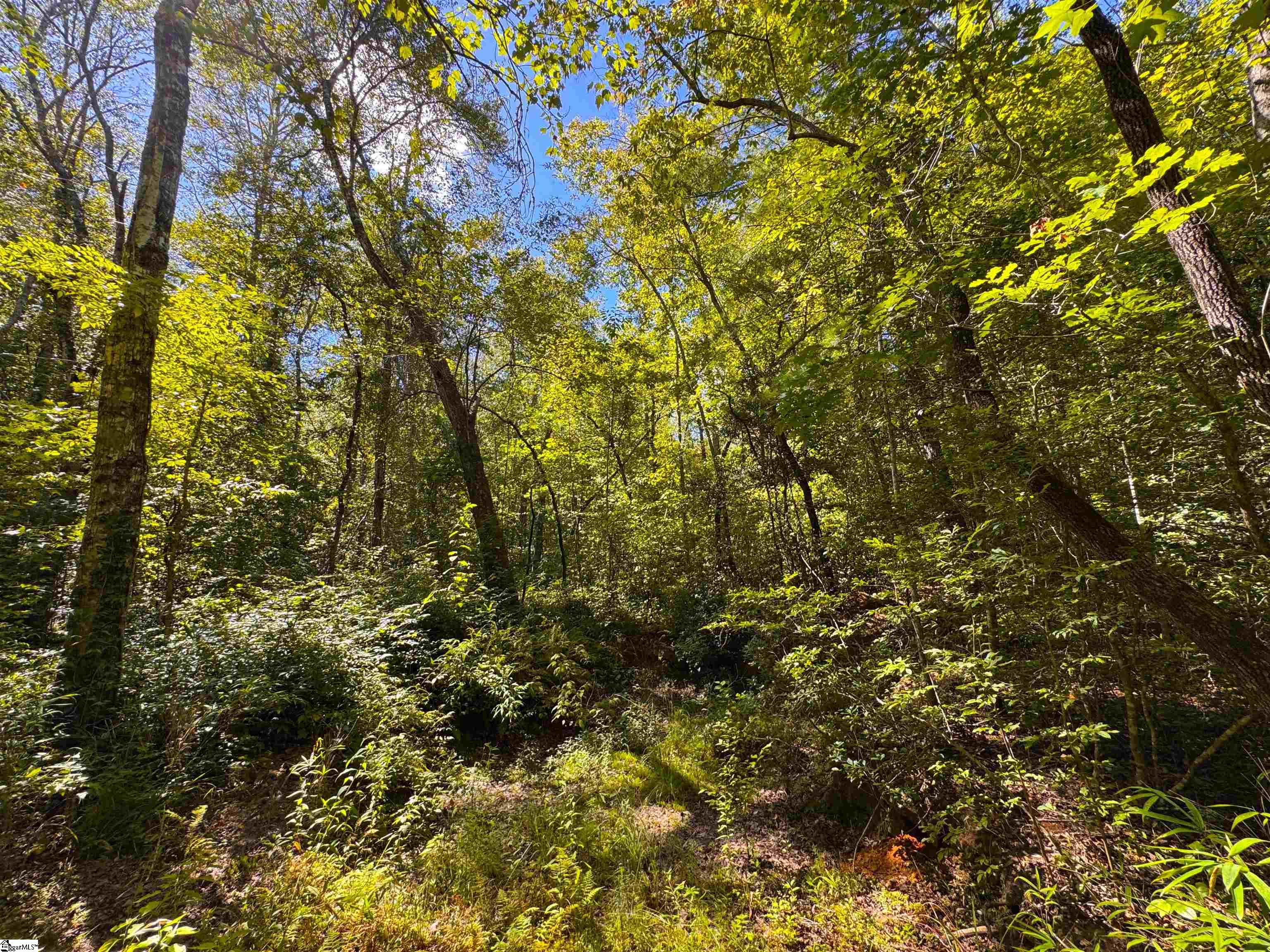 00 Whitmire Church Road Property Photo 13