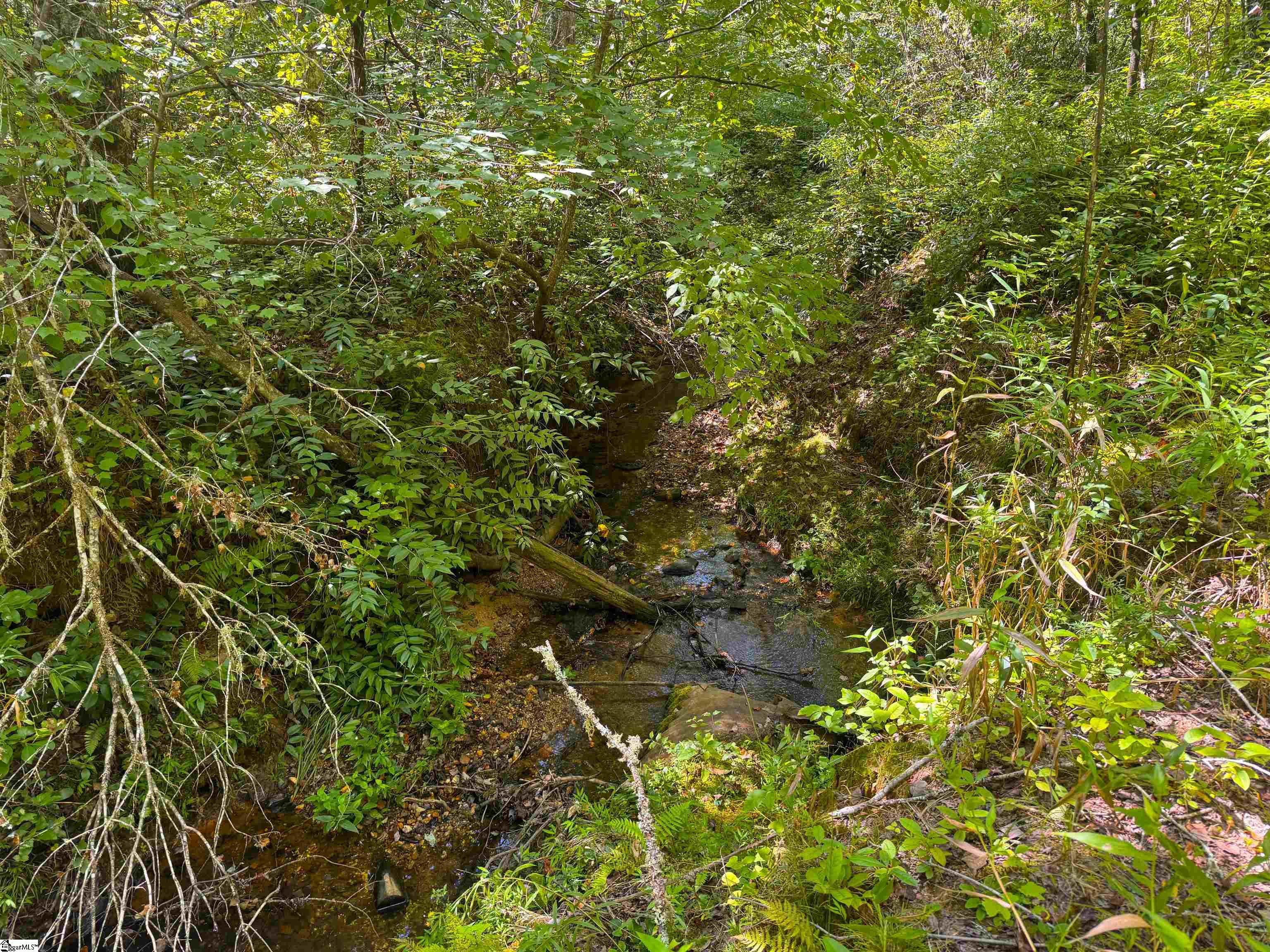 00 Whitmire Church Road Property Photo 15