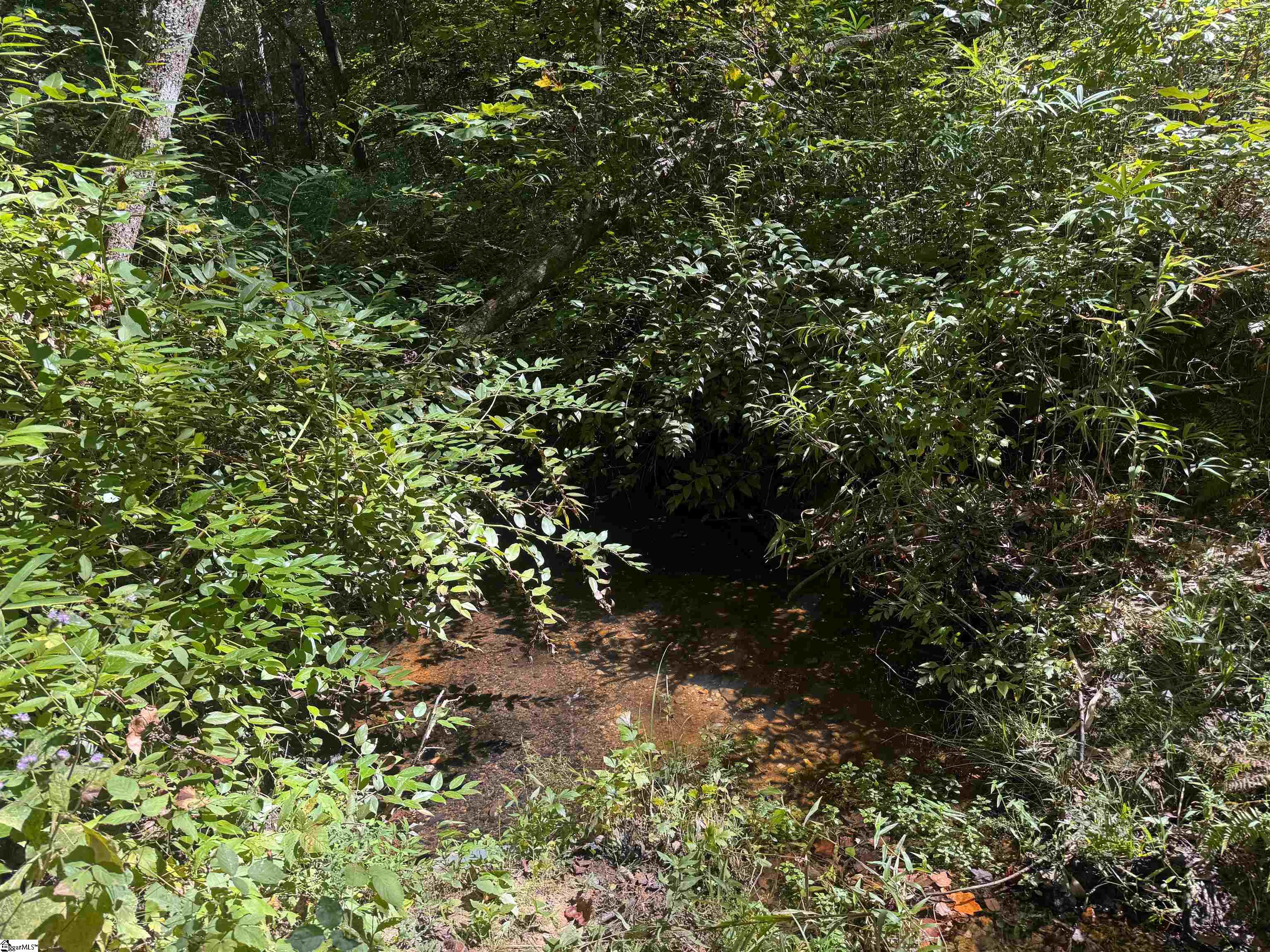 00 Whitmire Church Road Property Photo 18