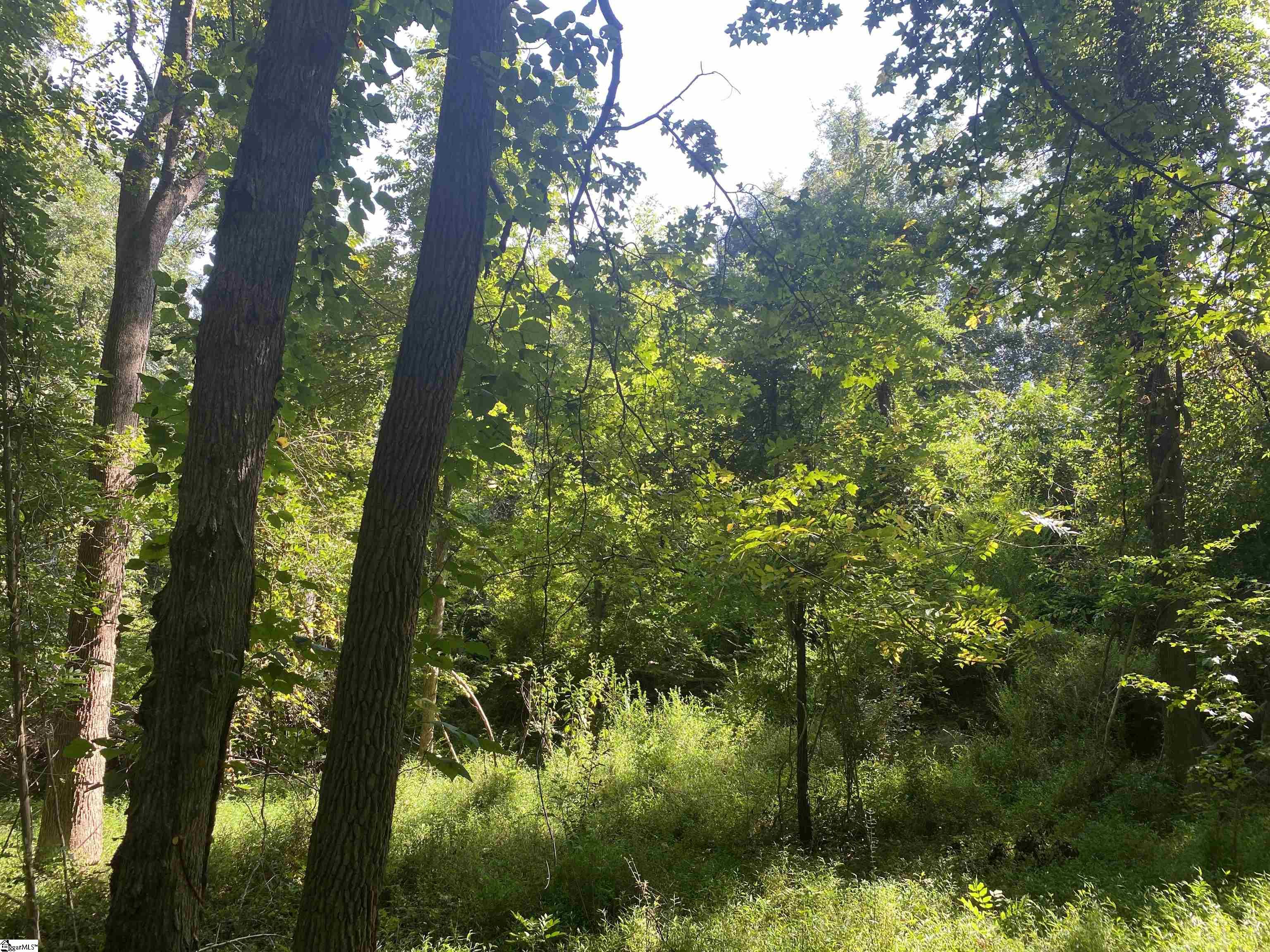 18812 Highway 72 East Property Photo 17