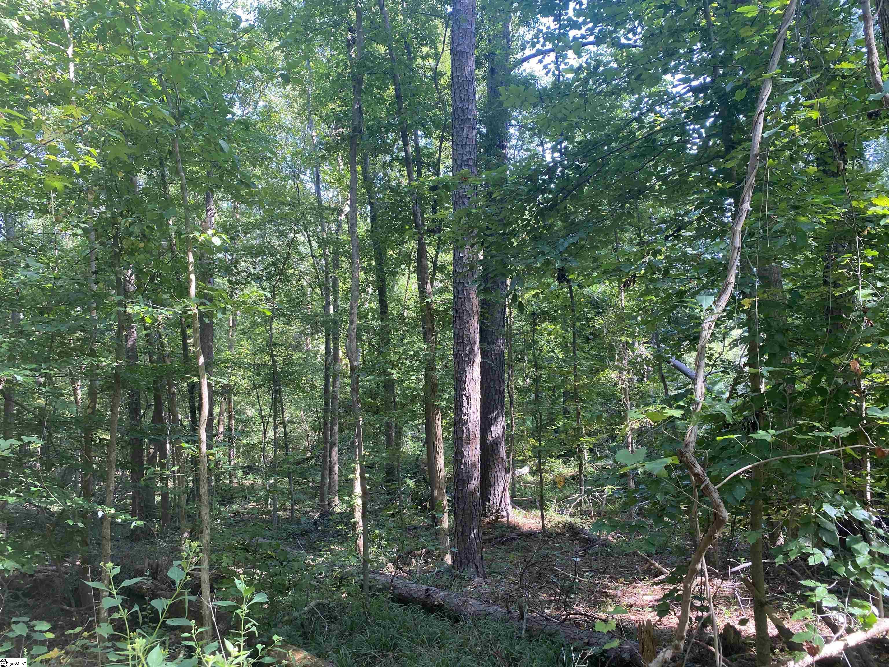 18812 Highway 72 East Property Photo 19