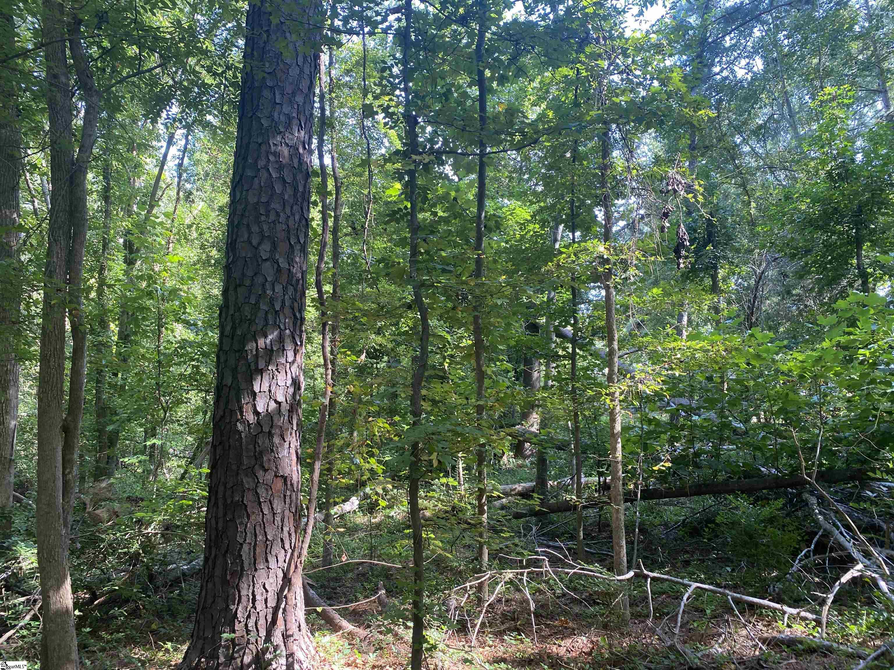 18812 Highway 72 East Property Photo 20