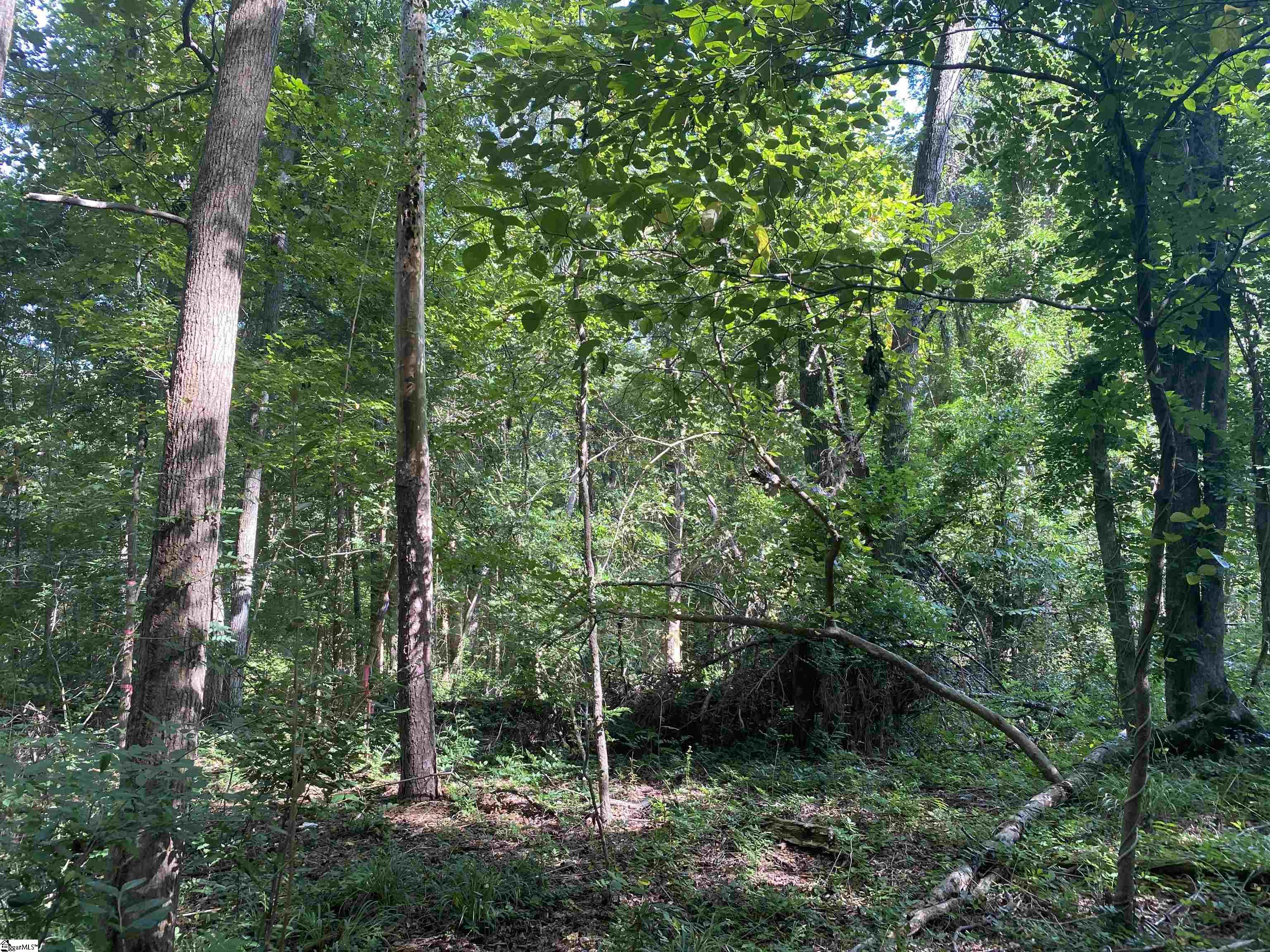 18812 Highway 72 East Property Photo 21