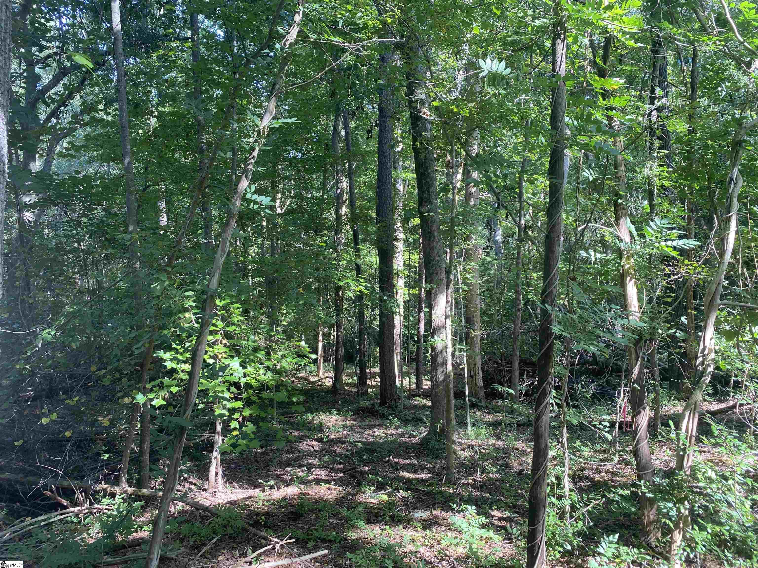 18812 Highway 72 East Property Photo 23