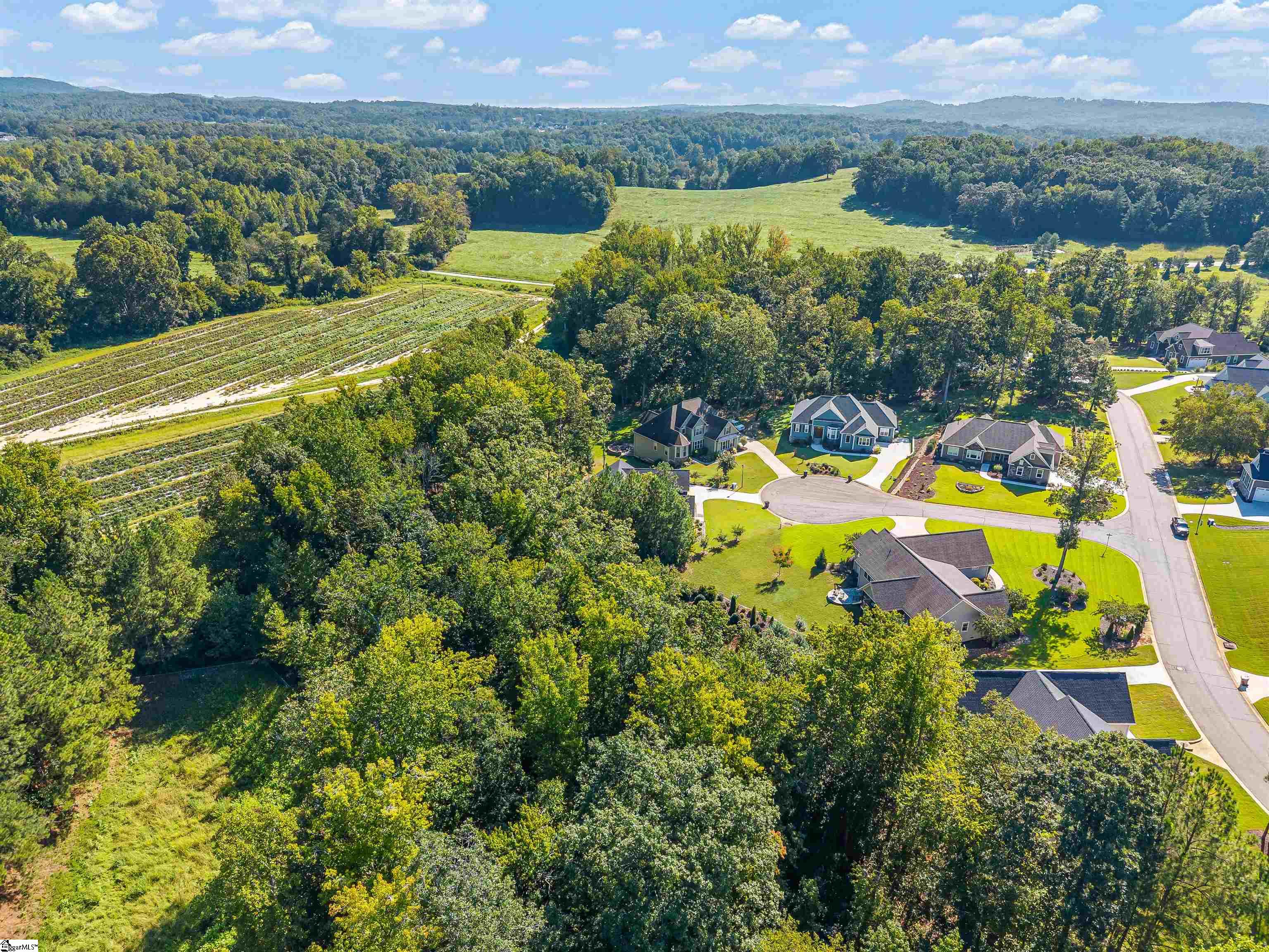 7 Maxfli Court Property Photo 42