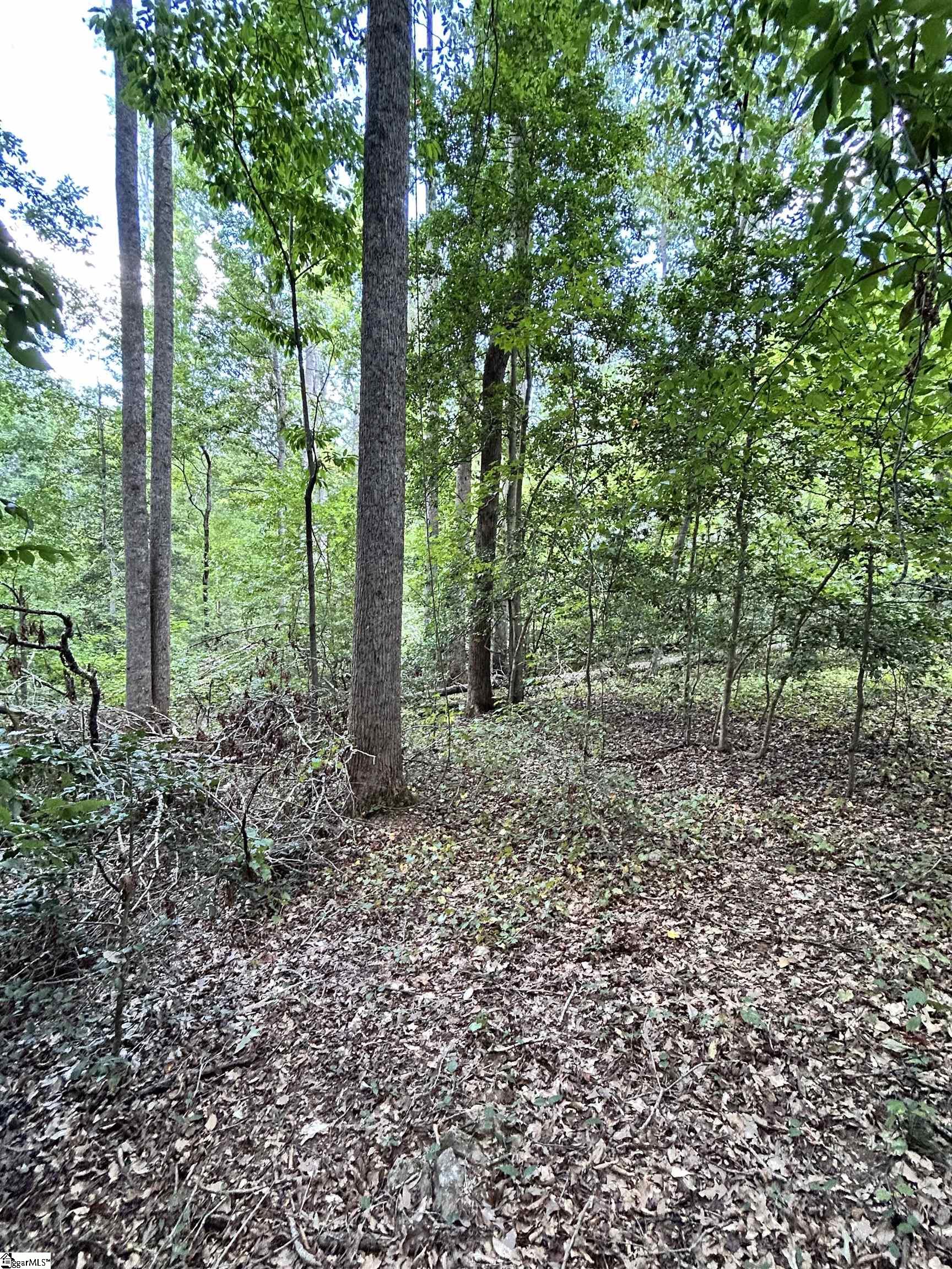 03 Clement Road Property Photo 10