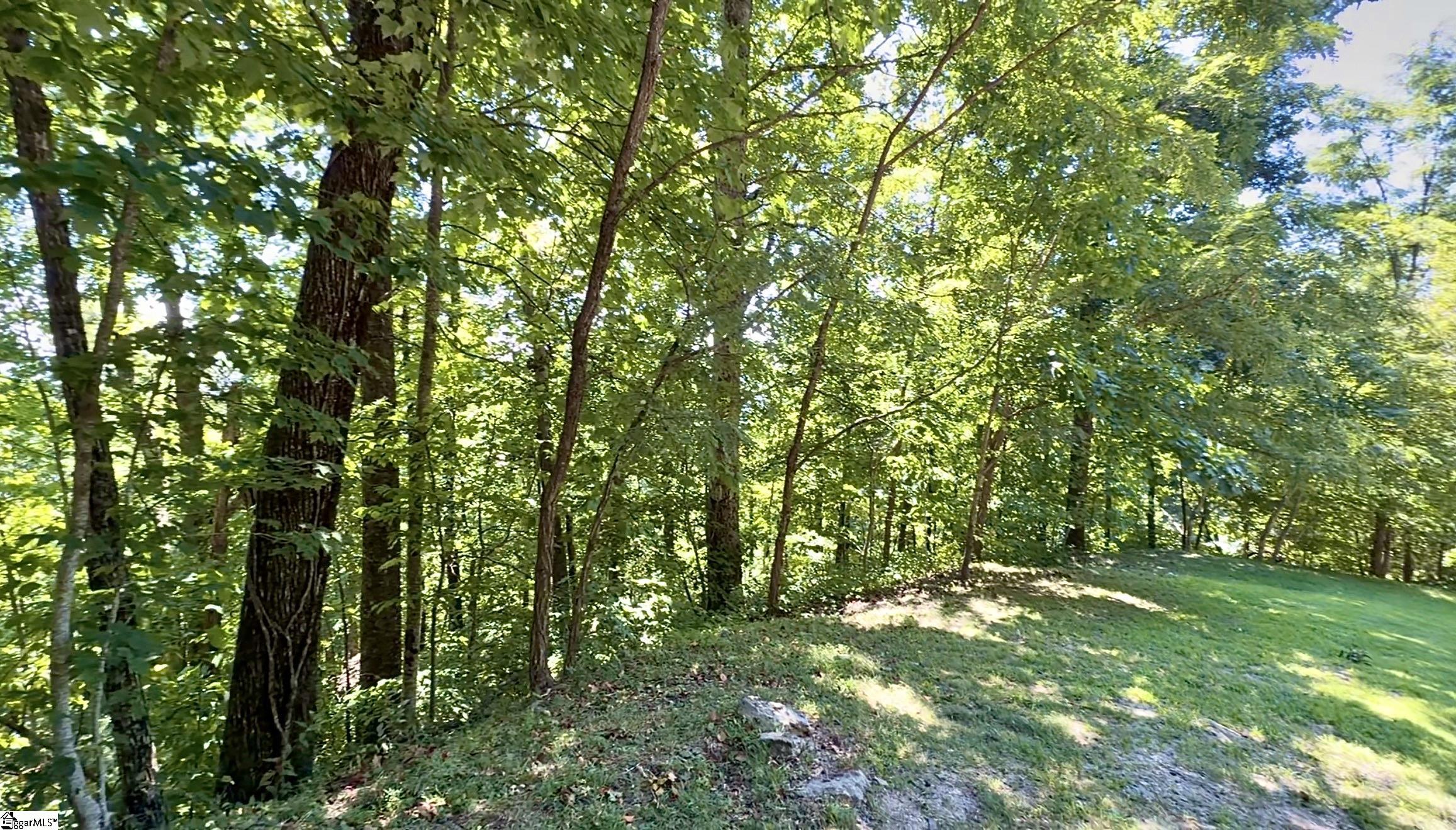 1424 Panther Park Trail Property Photo 3