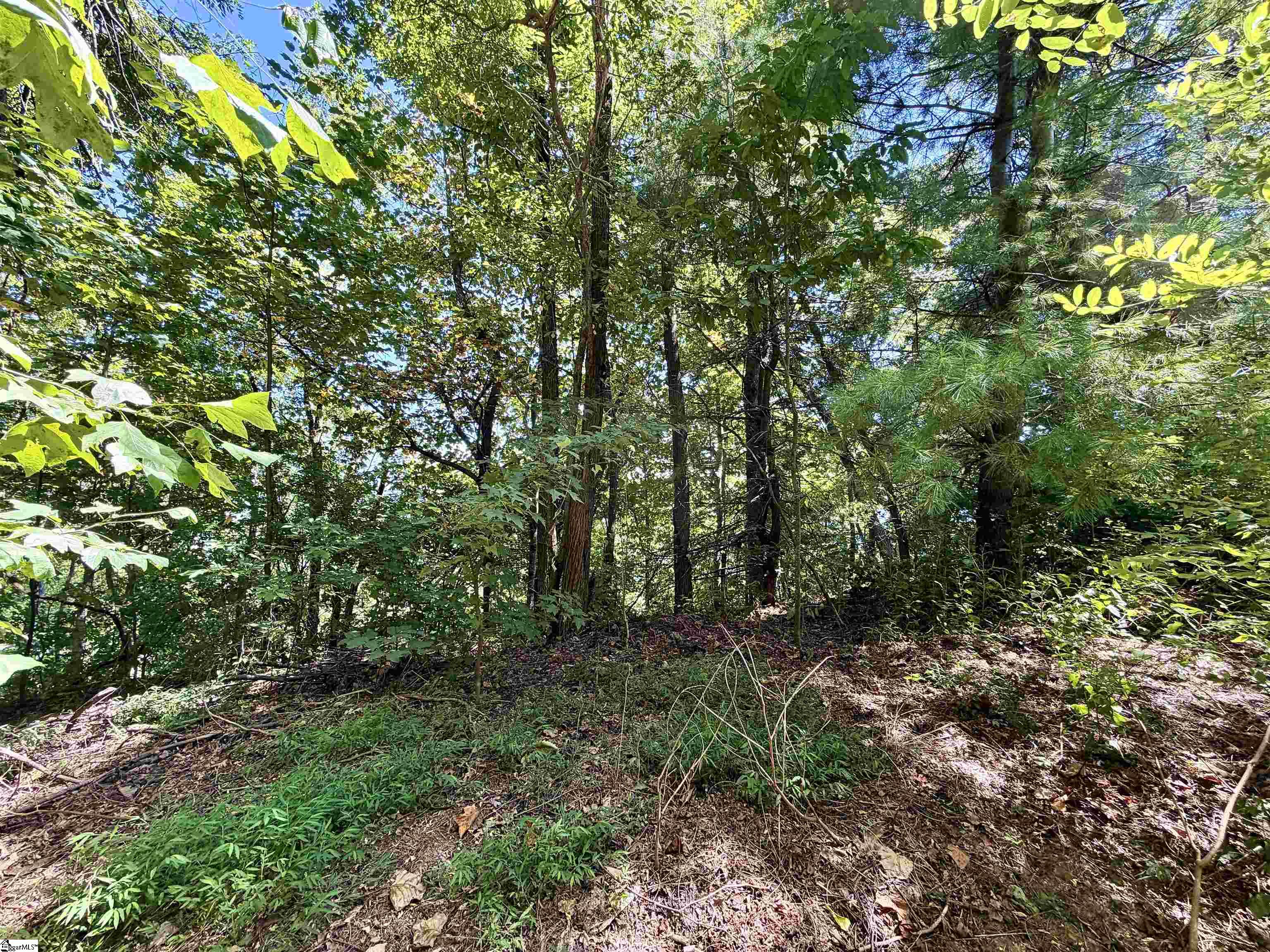 1424 Panther Park Trail Property Photo 4