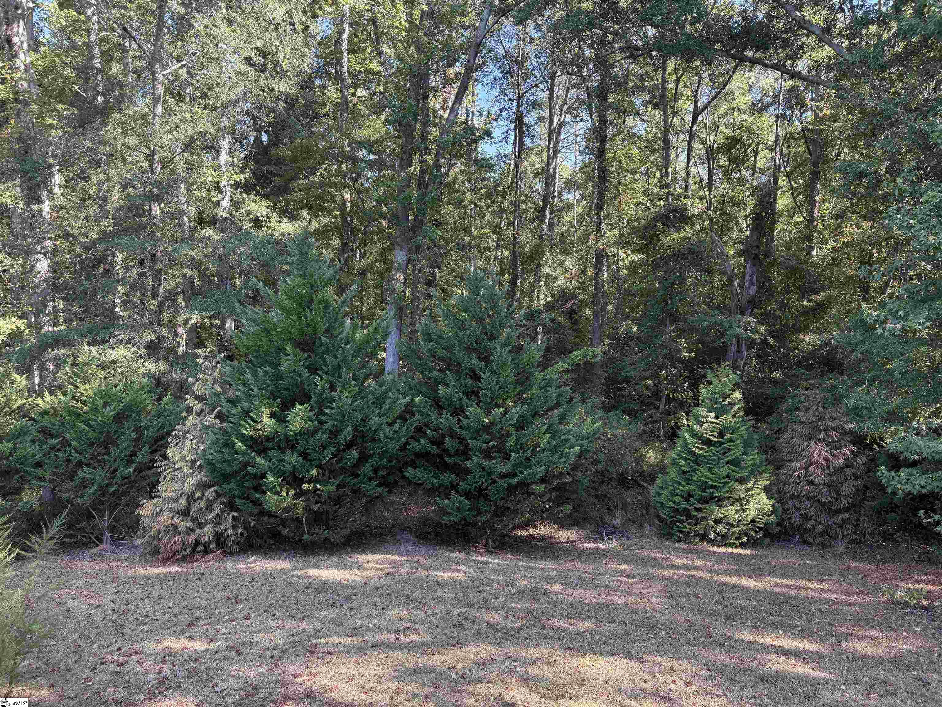 1108 Trotter Road Property Photo 20
