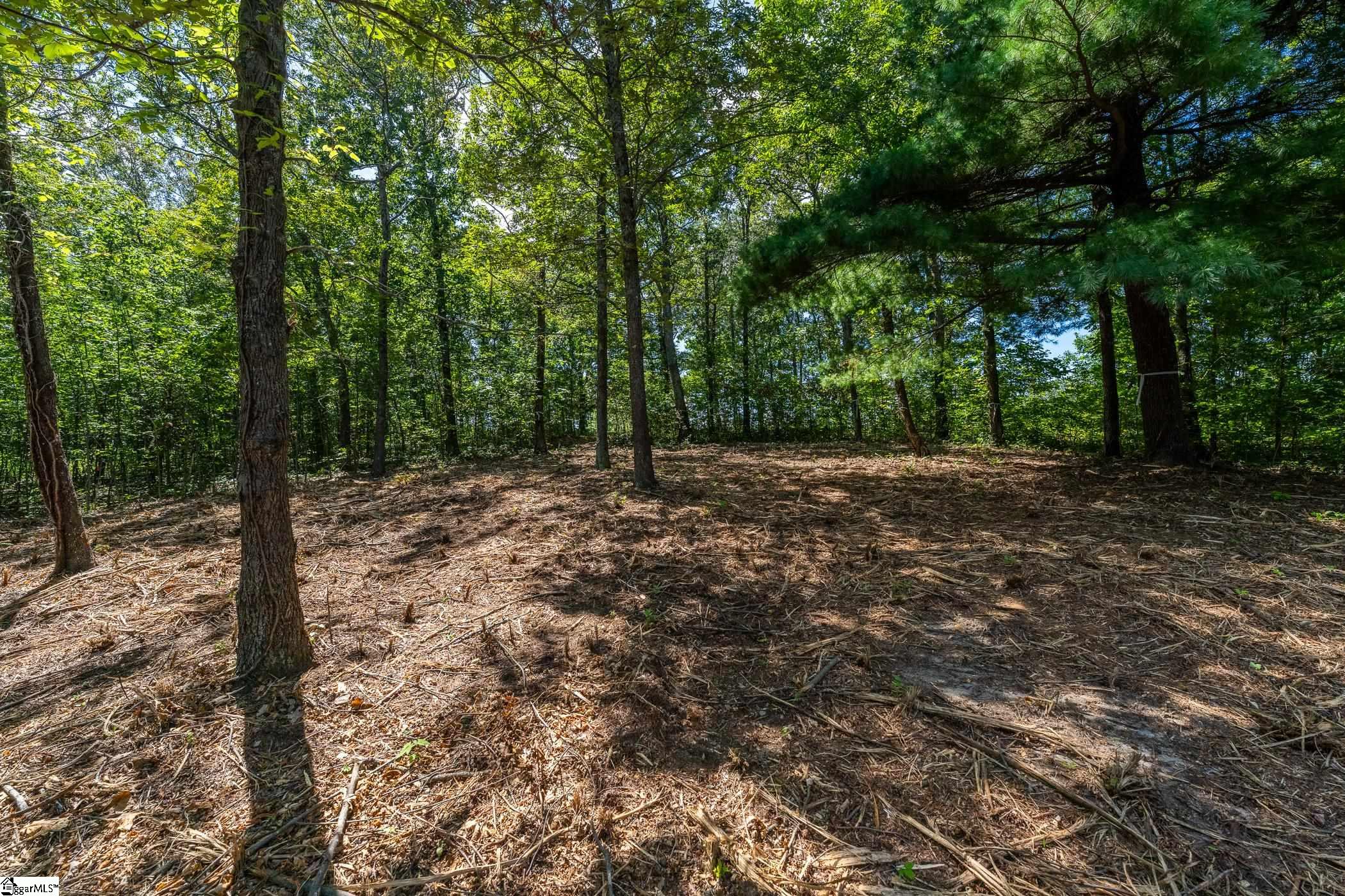 229 May Apple Way Property Photo 4