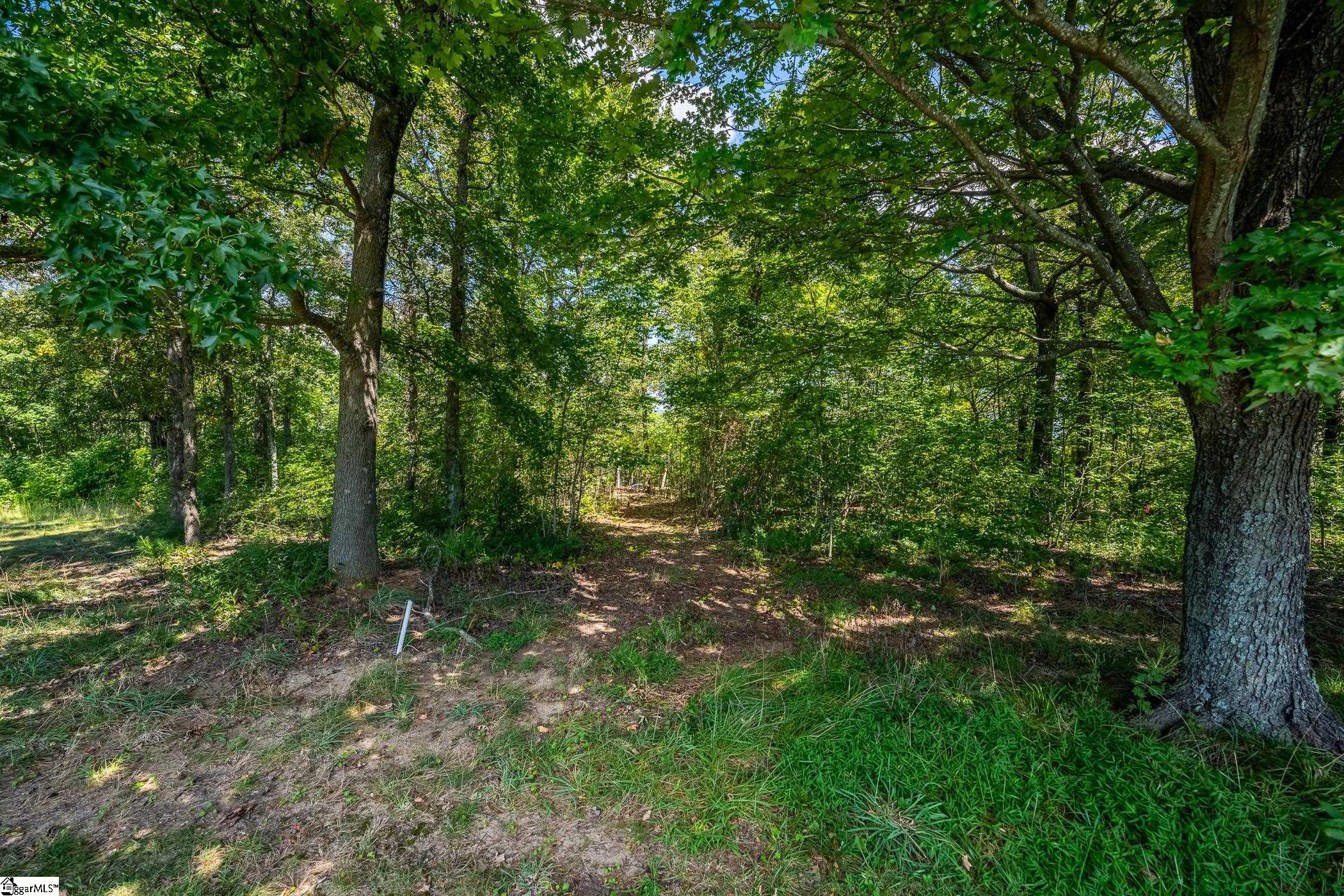 229 May Apple Way Property Photo 7