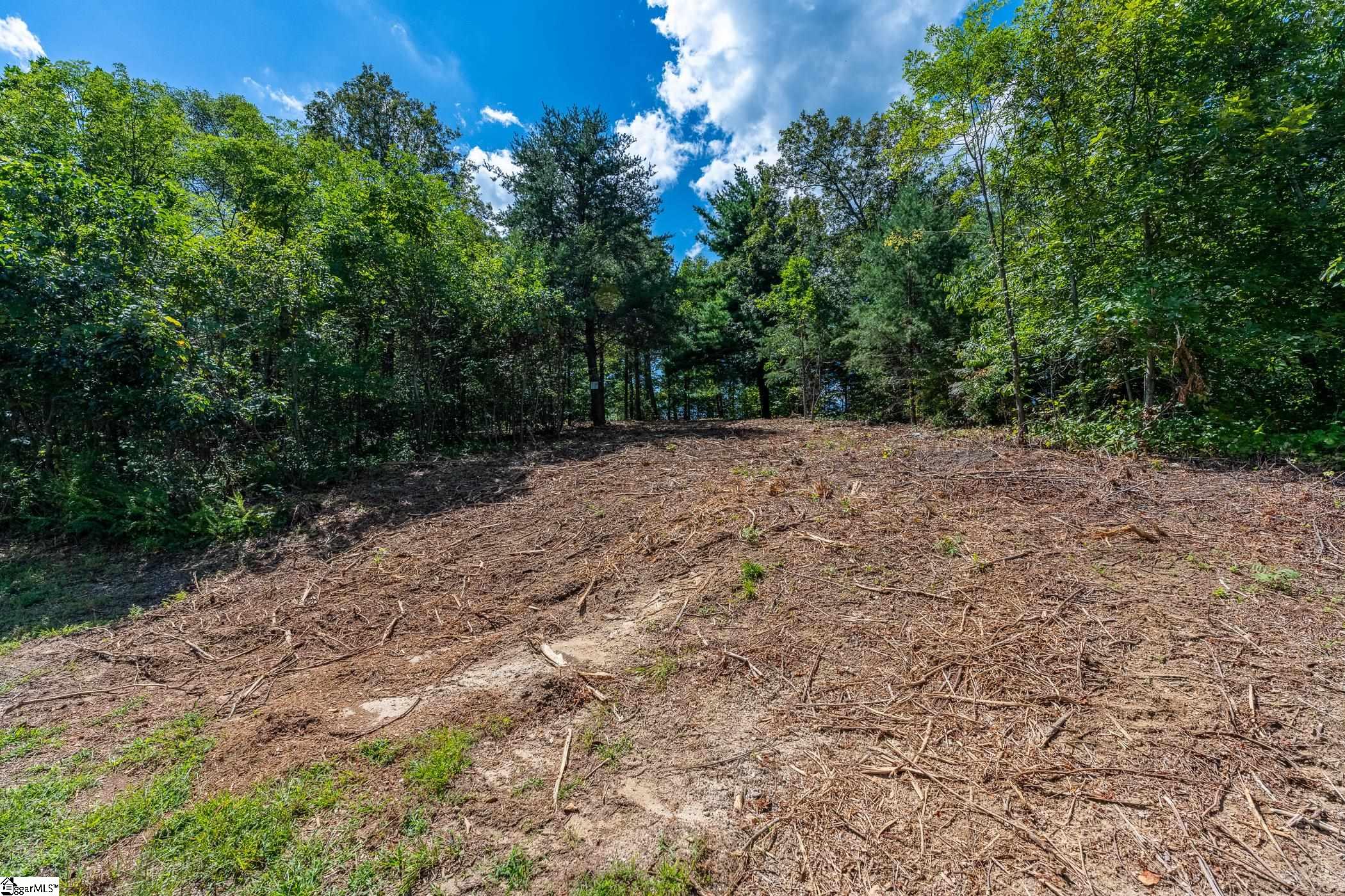229 May Apple Way Property Photo 29