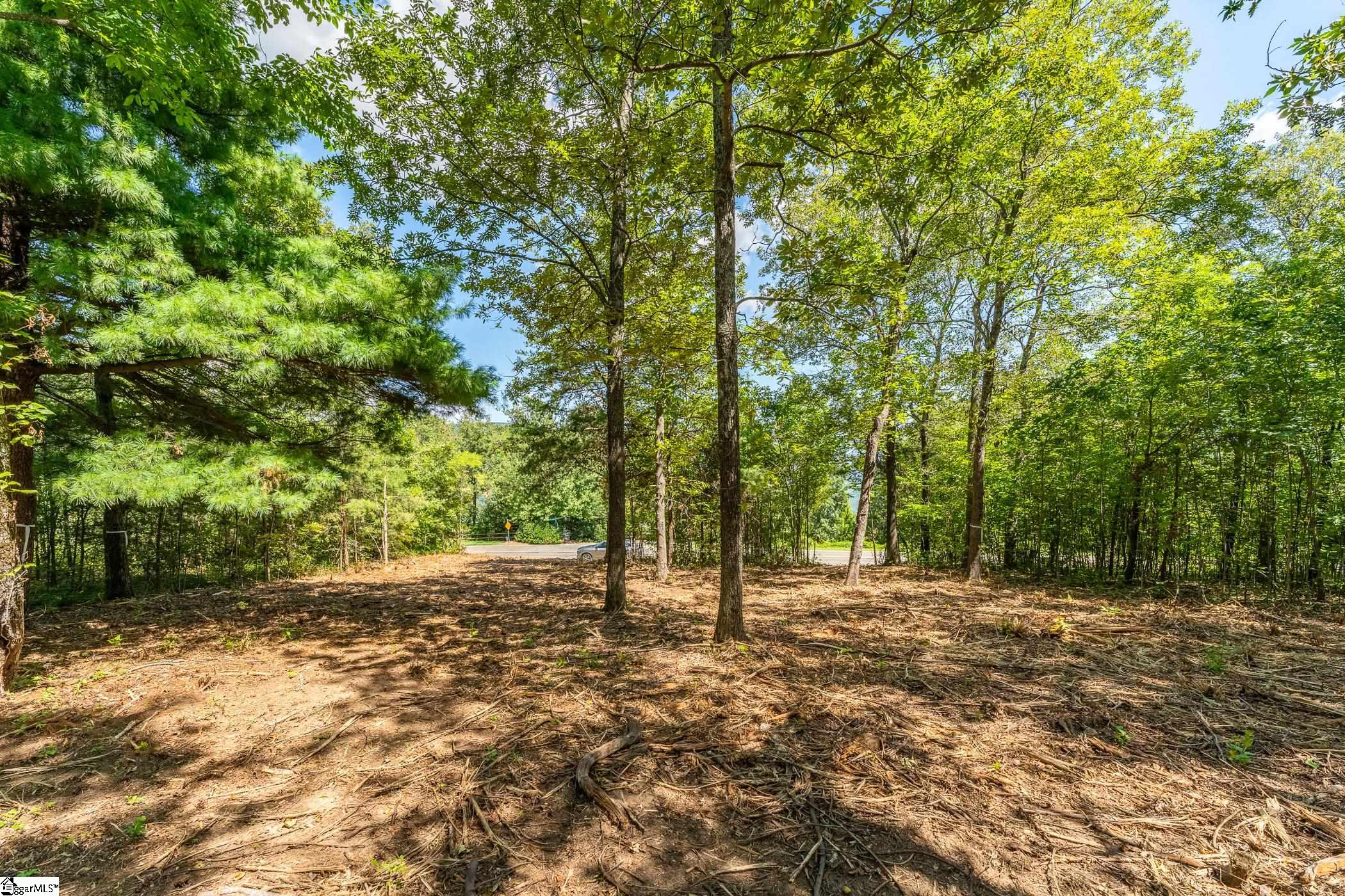 229 May Apple Way Property Photo 37