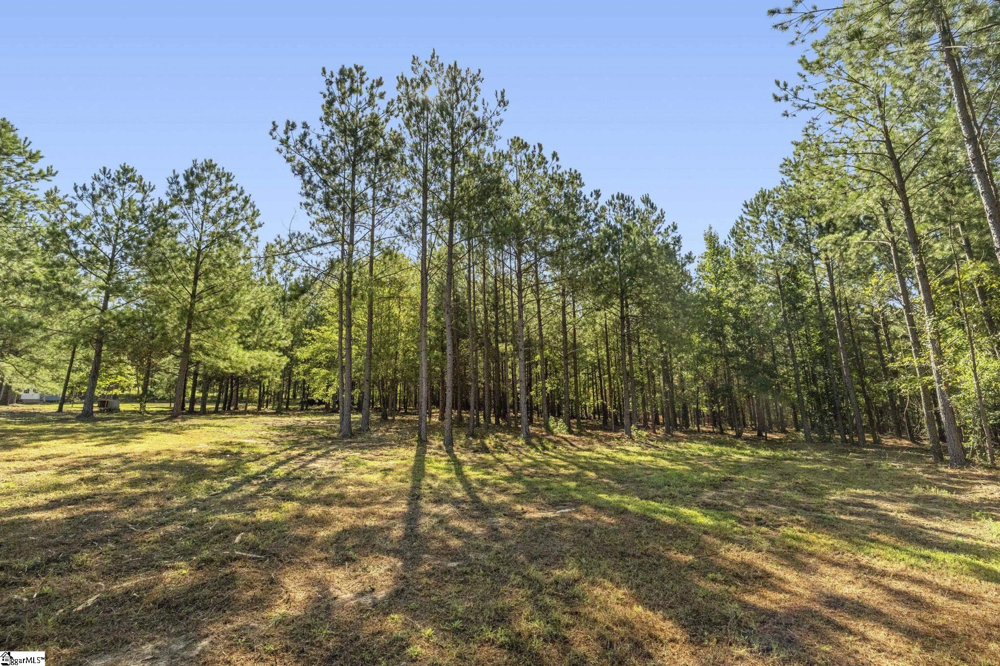 242 Mattie Campbell Road Property Photo 30