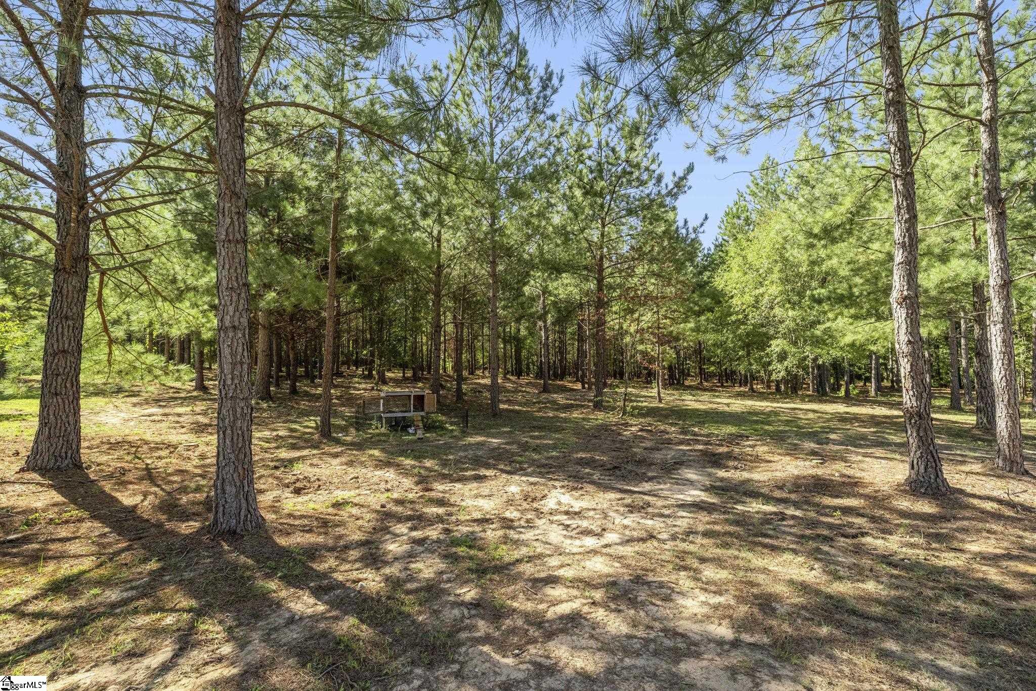 242 Mattie Campbell Road Property Photo 31