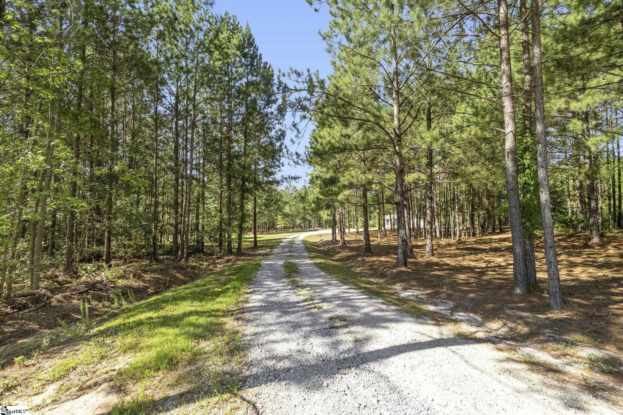 242 Mattie Campbell Road Property Photo 35