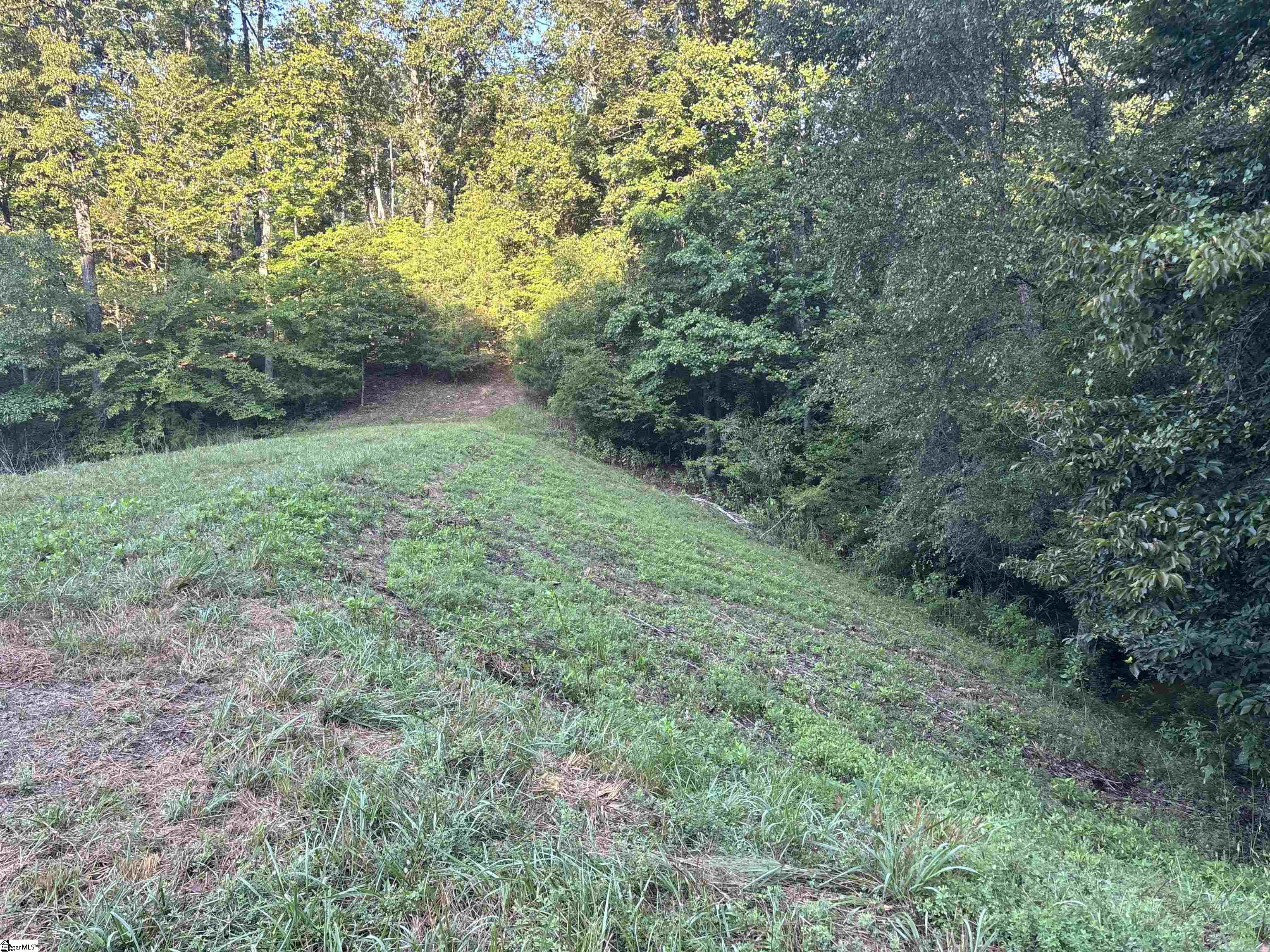 102 Todd Road Property Photo 23
