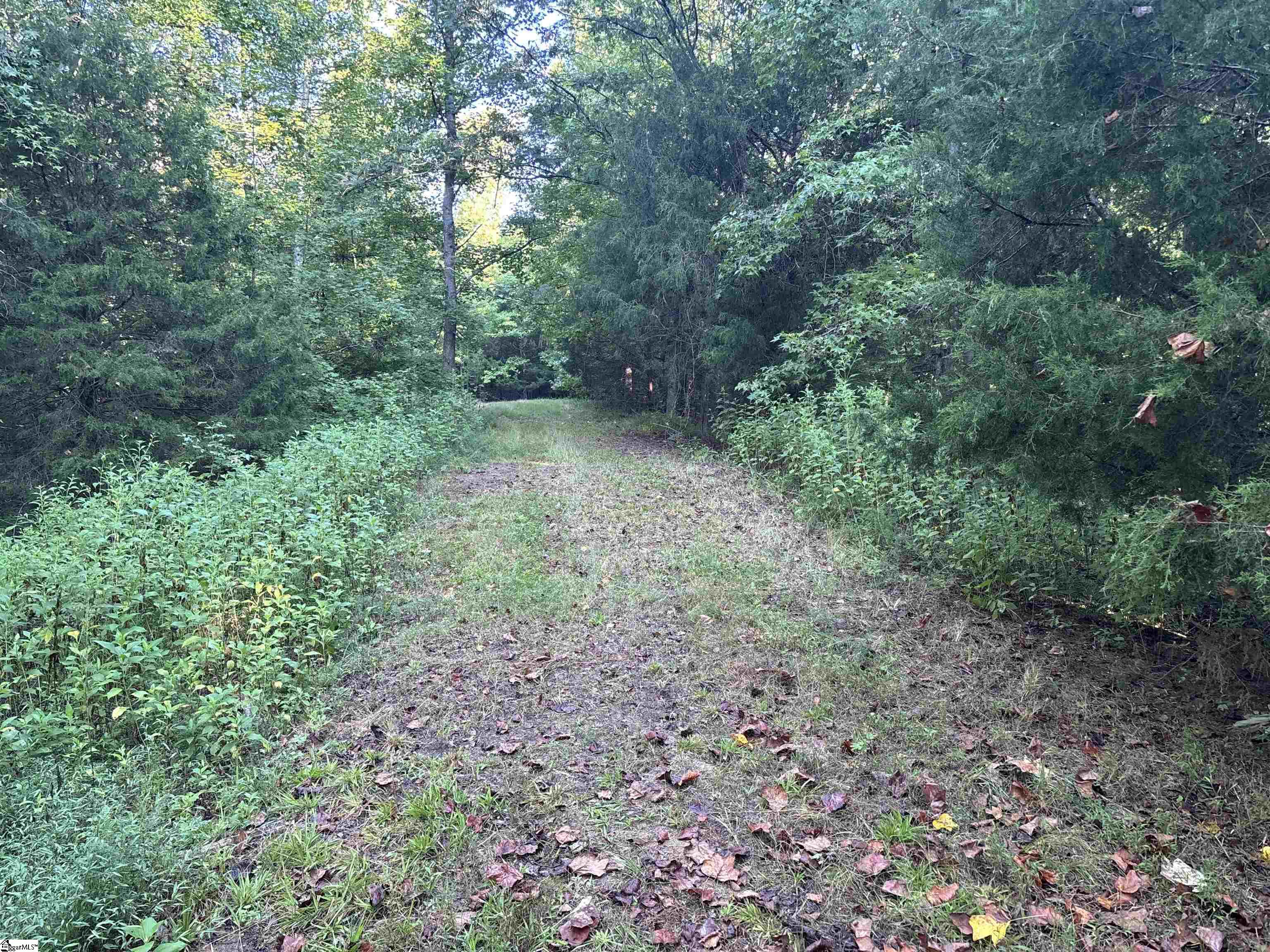 102 Todd Road Property Photo 28