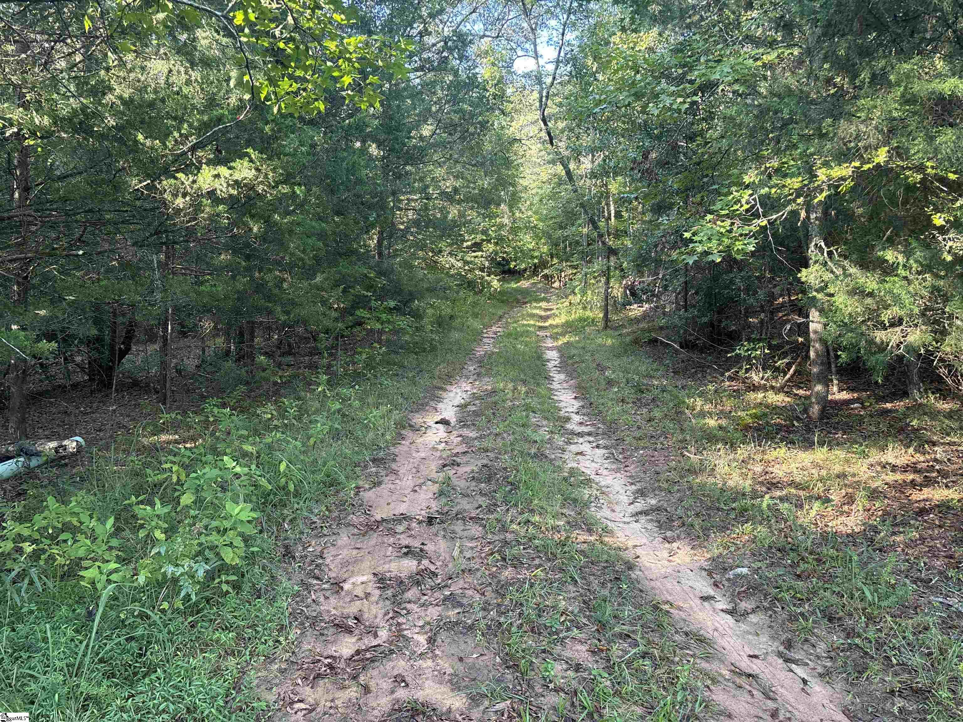 102 Todd Road Property Photo 32