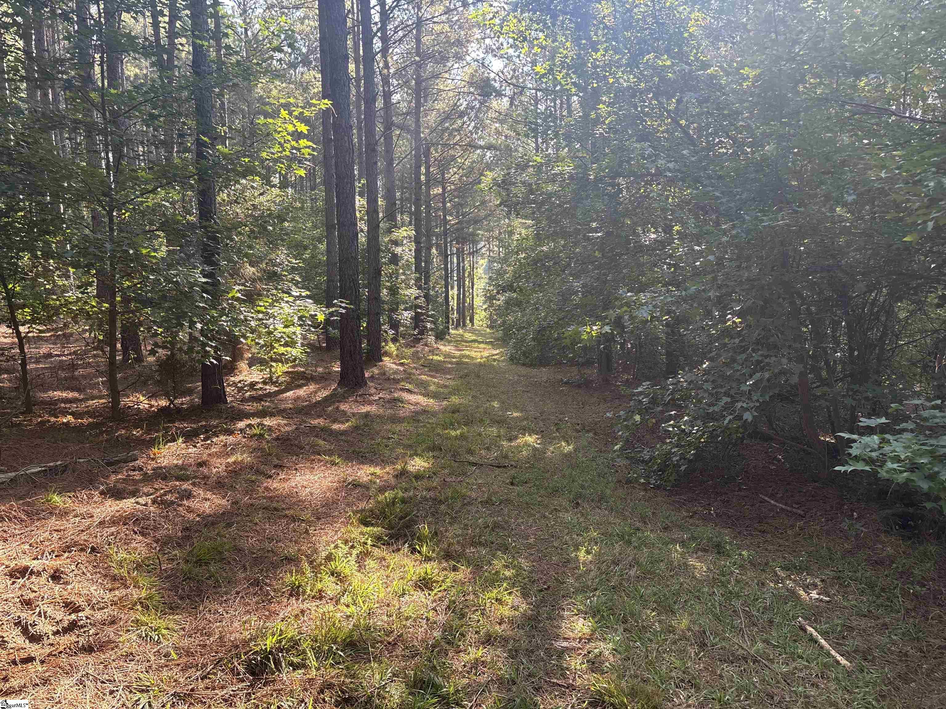 102 Todd Road Property Photo 34