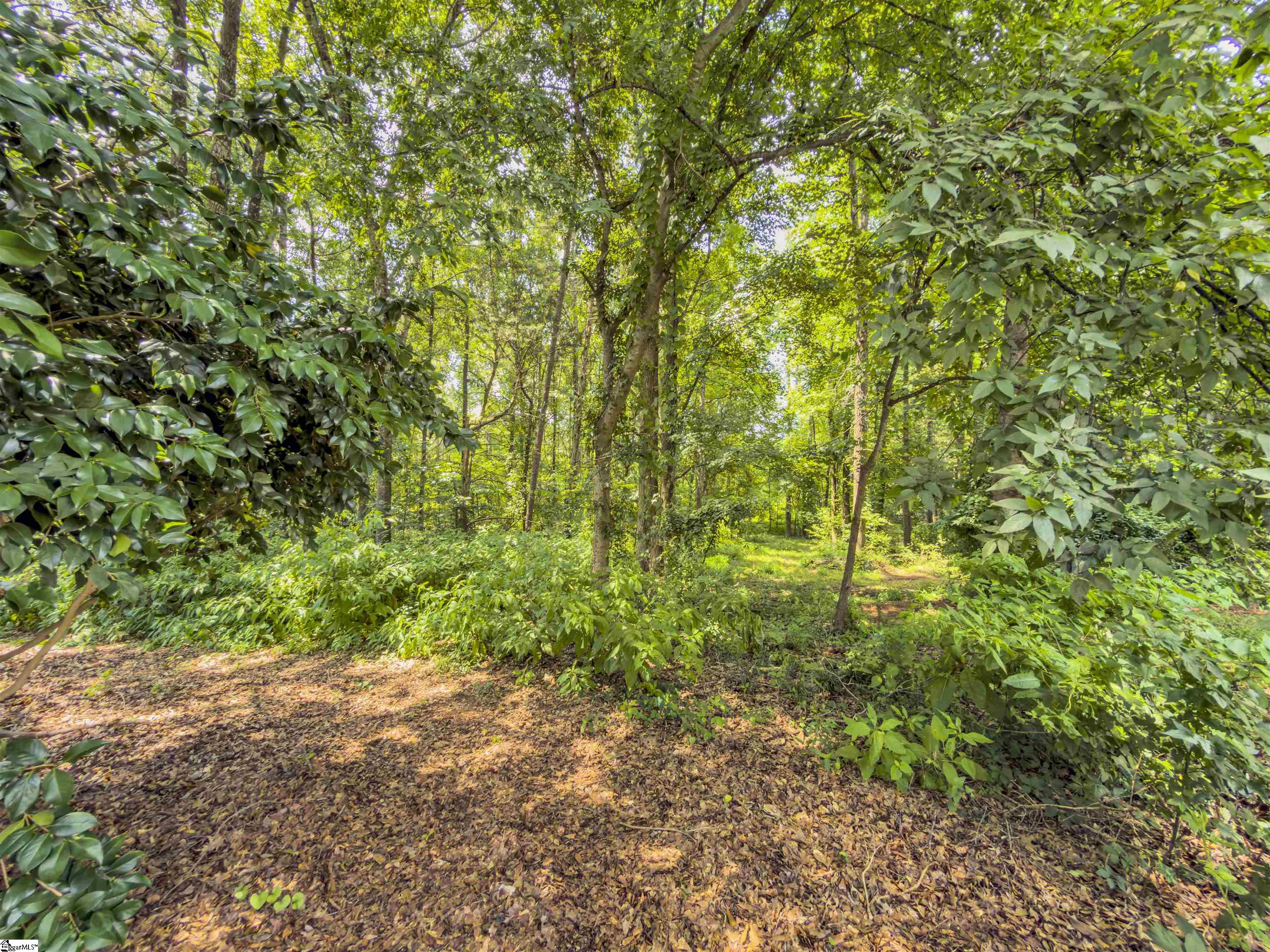 6 Peters Creek Court Property Photo 3