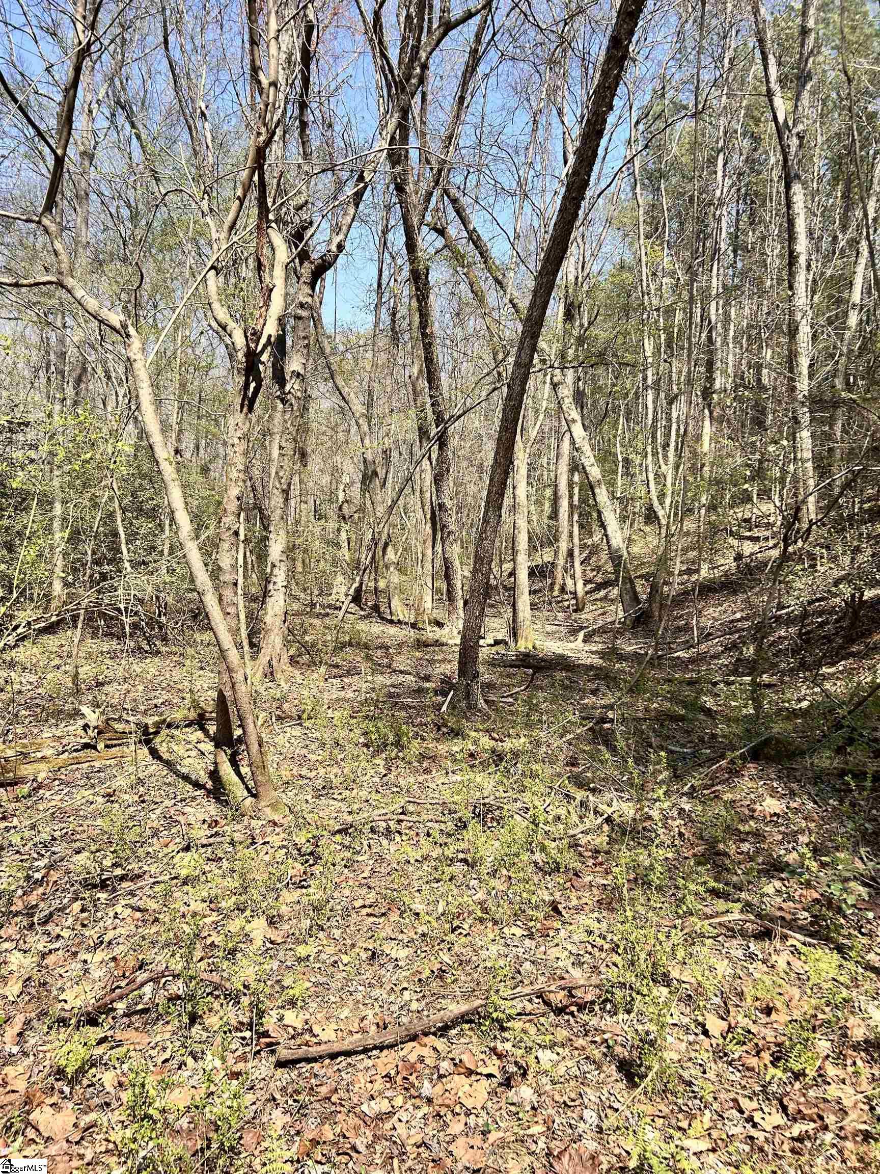 1603788 Property Photo 13