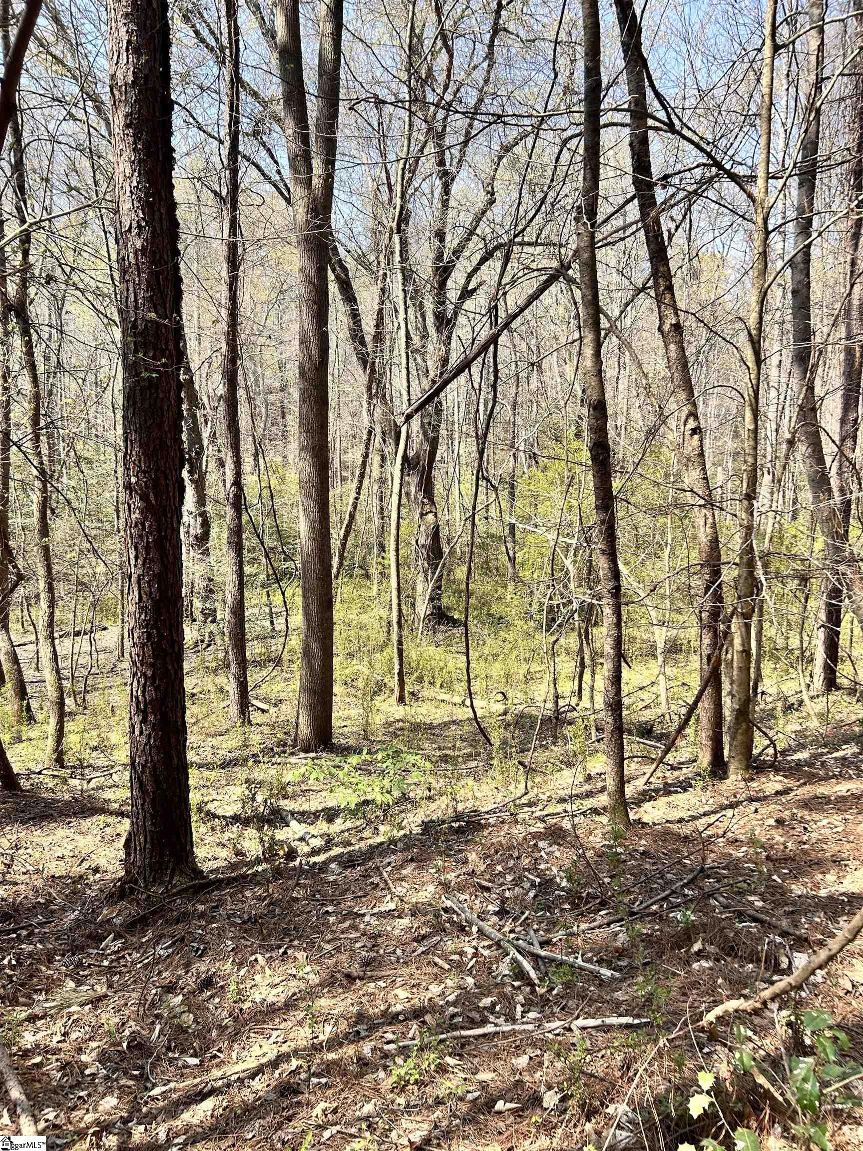 1603788 Property Photo 15