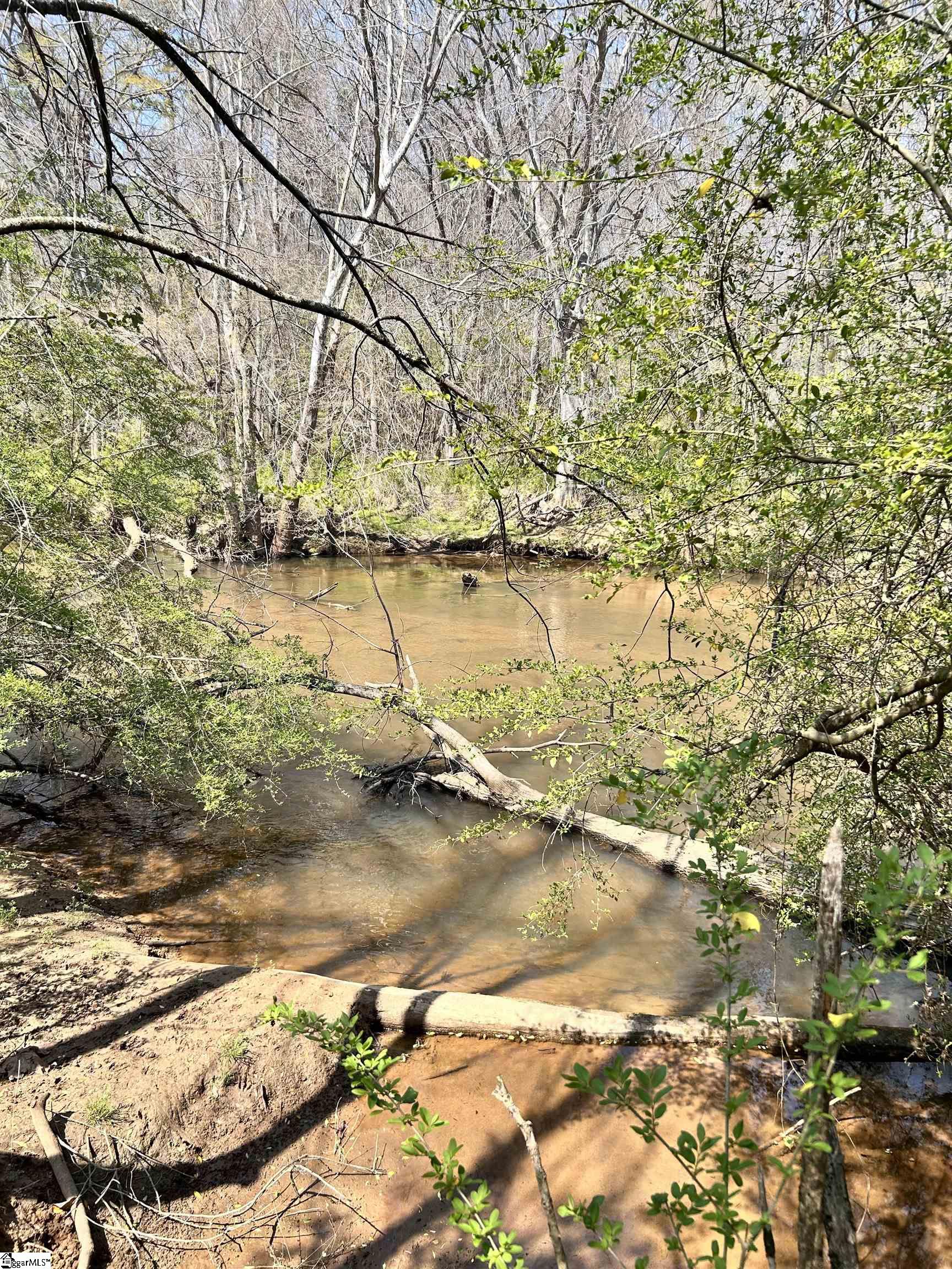 1603788 Property Photo 18