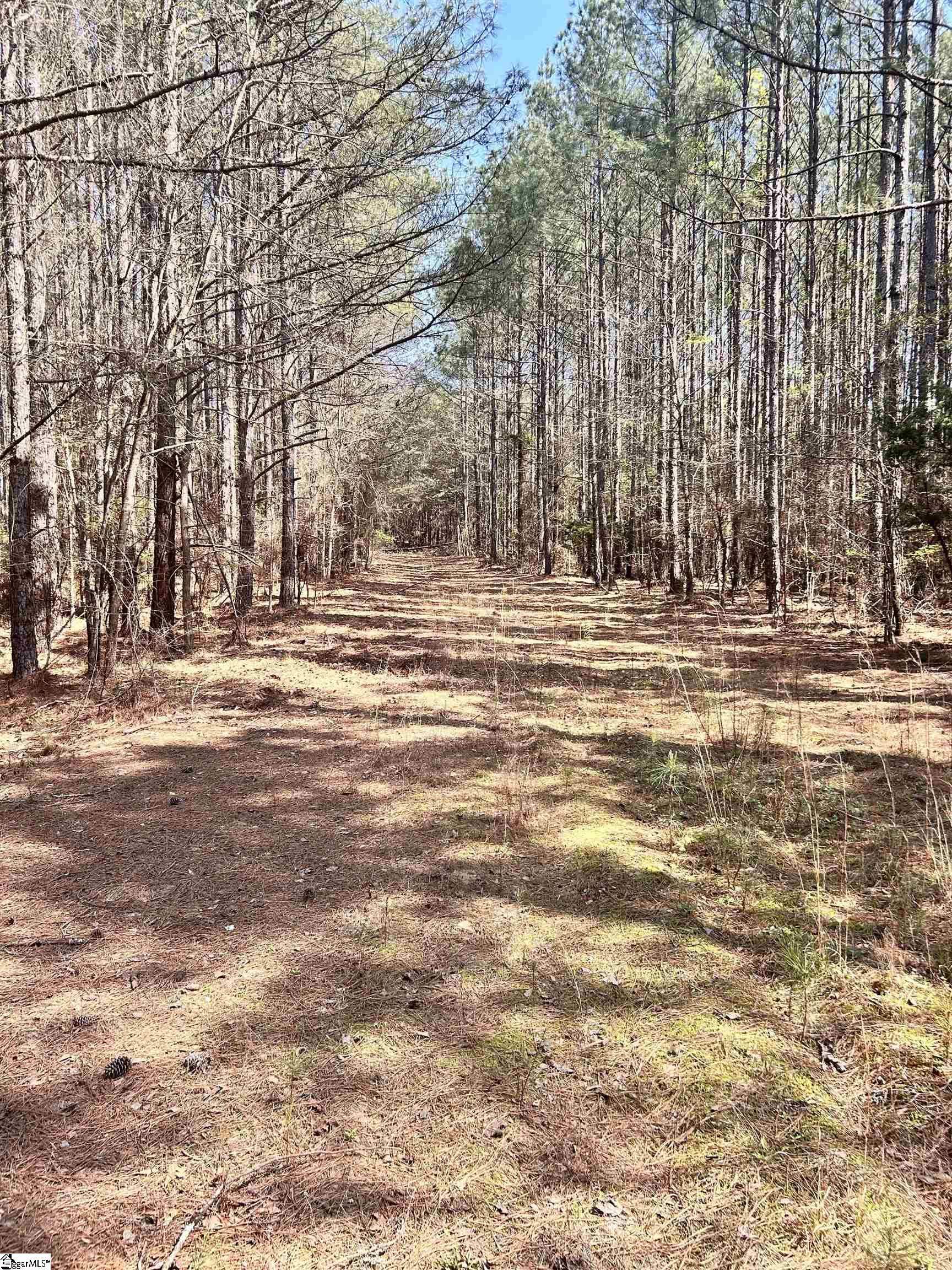1603788 Property Photo 22