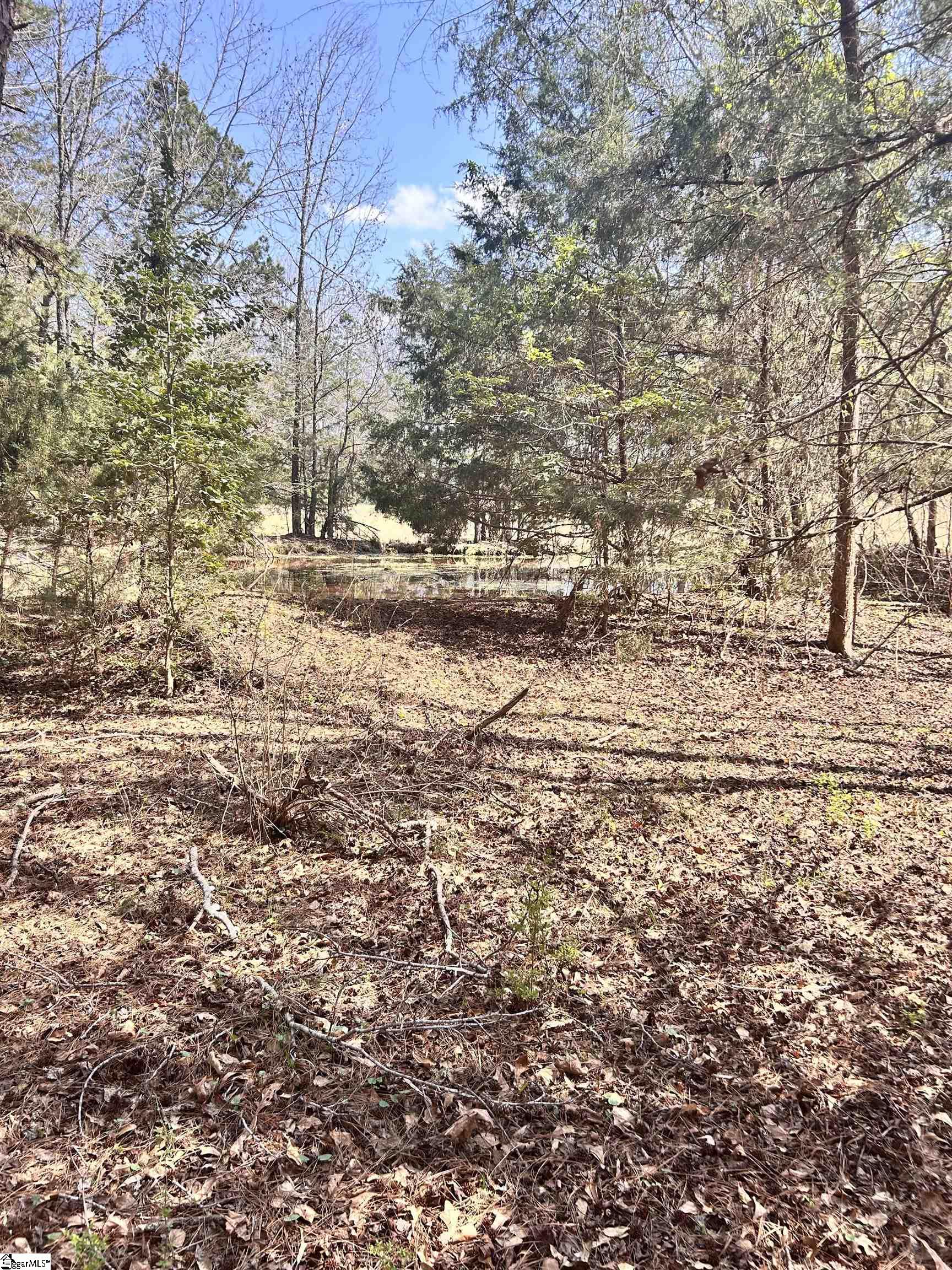 1603788 Property Photo 23