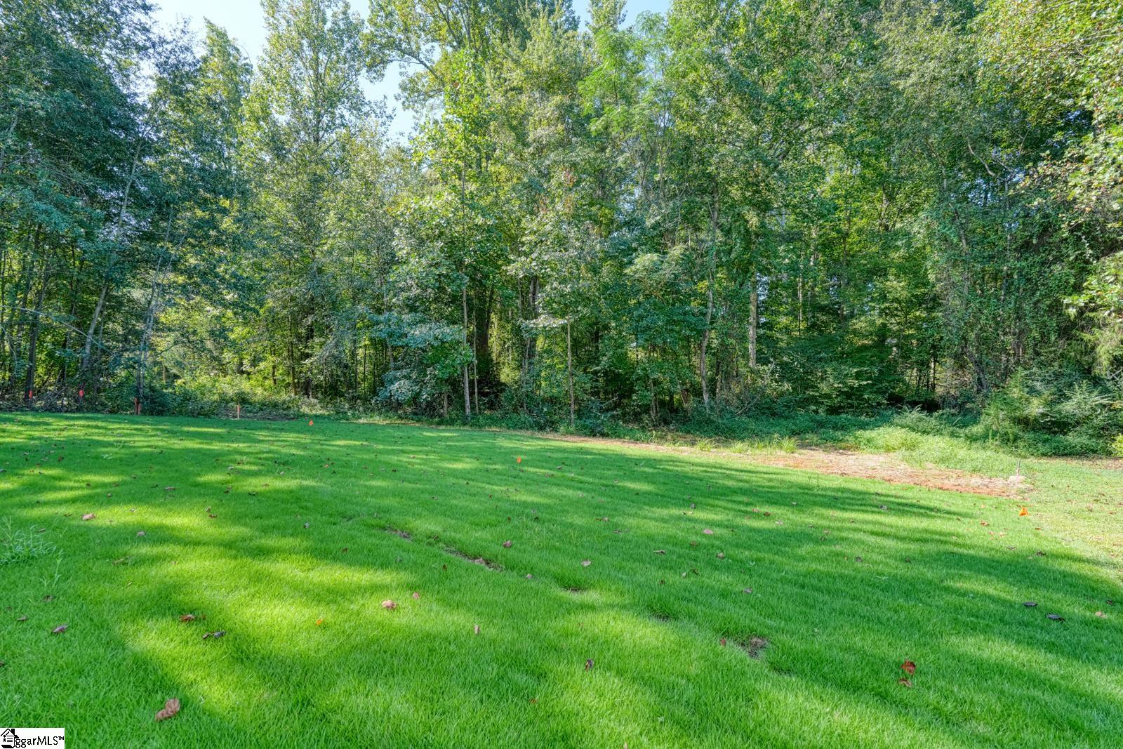 2040 Ivy Cottage Path Property Photo 48