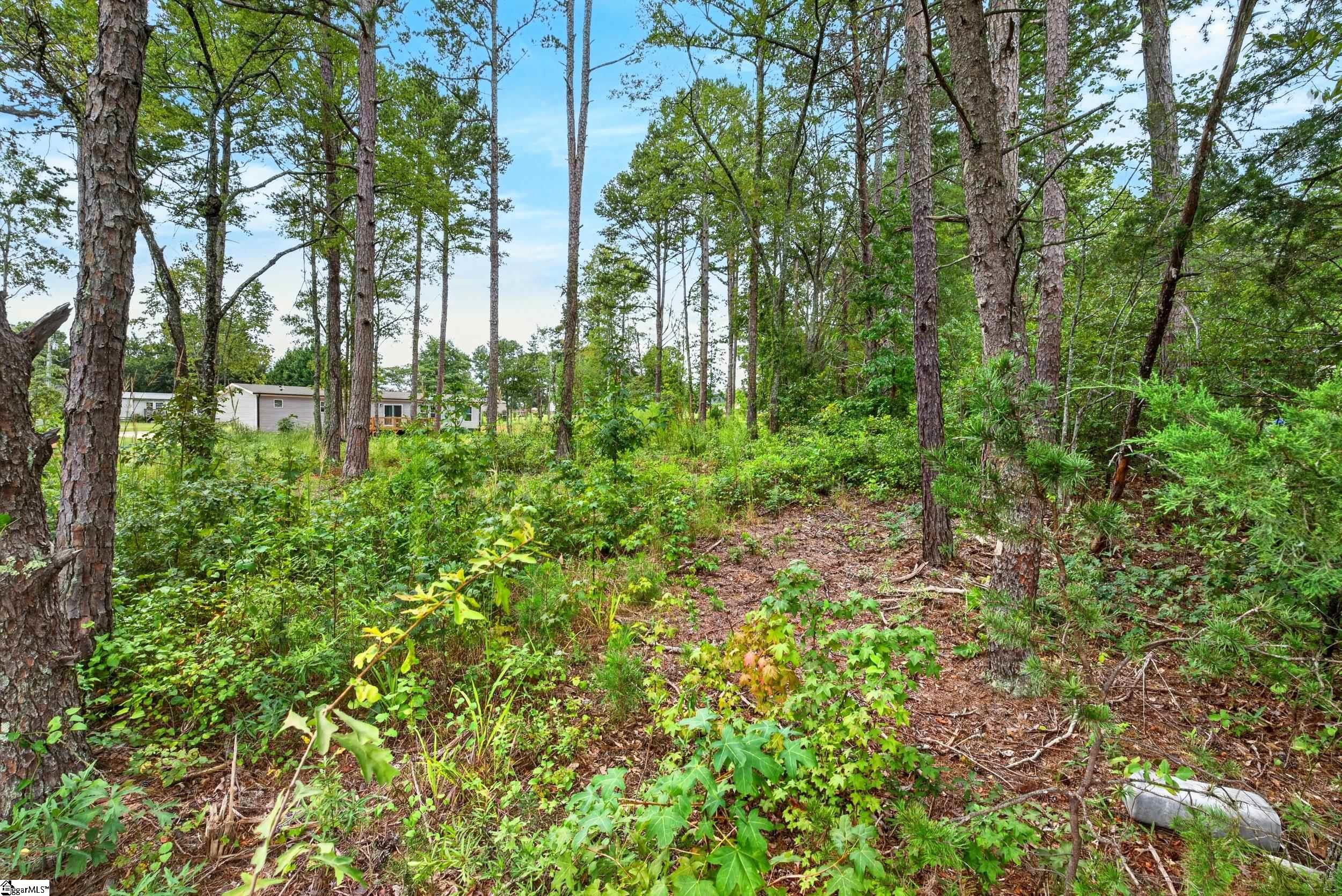 00 Peachtree Road Property Photo 11