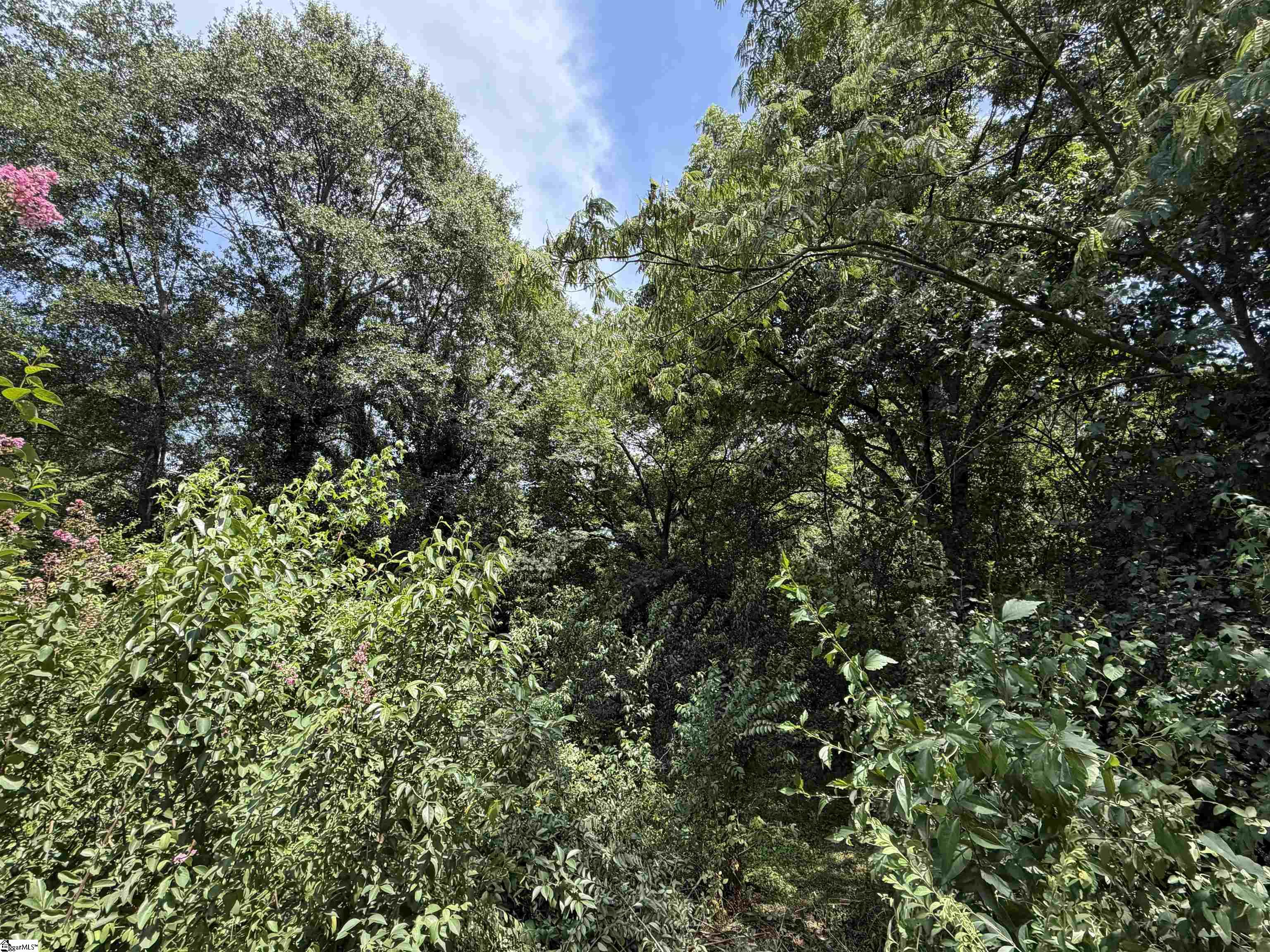 131 Sims Chapel Road Property Photo 4