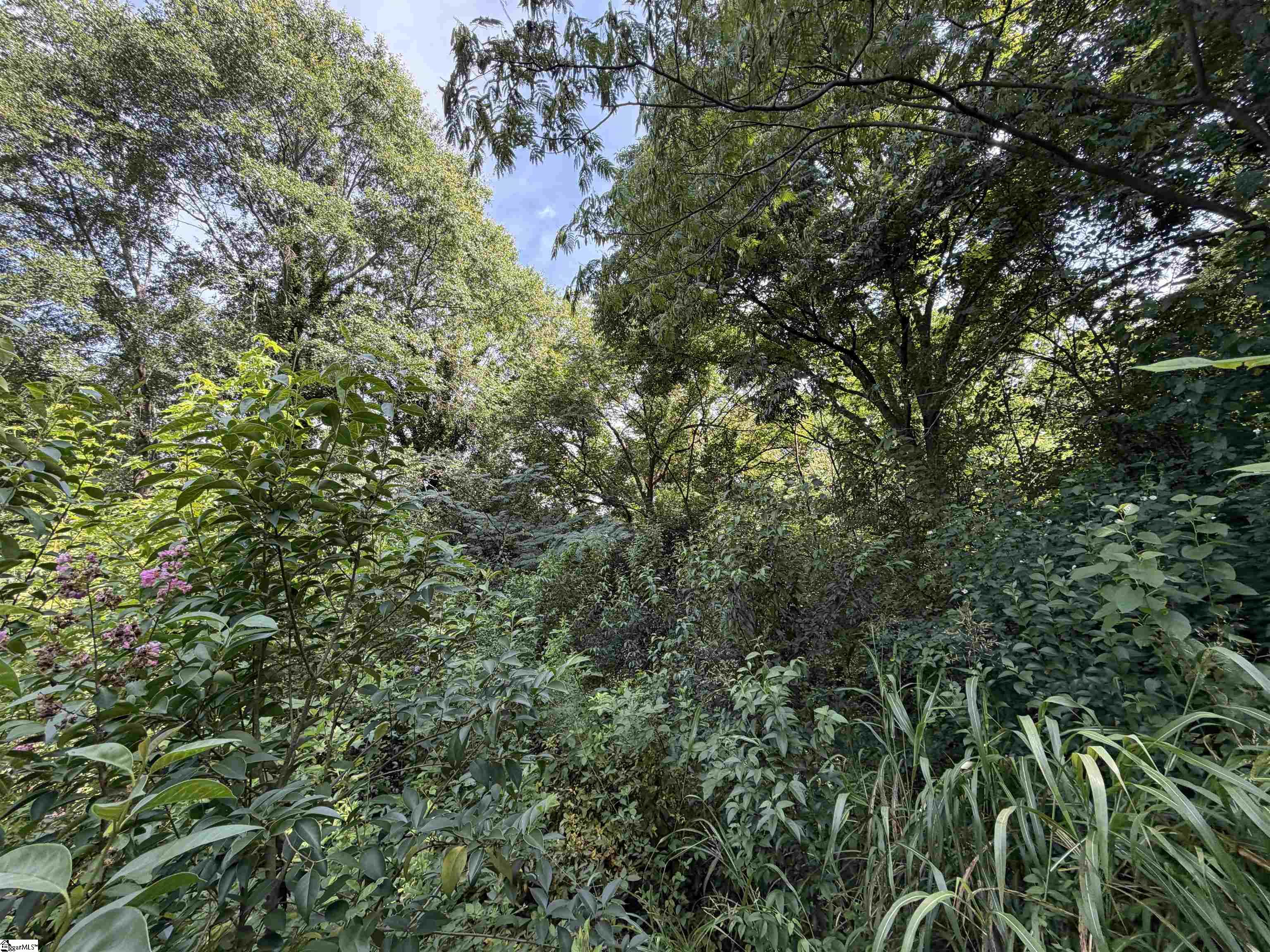 131 Sims Chapel Road Property Photo 5