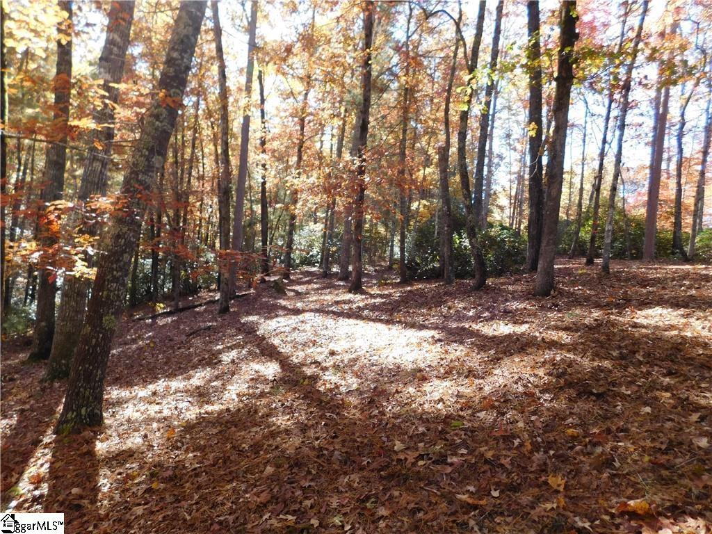 130 Cliffs Falls Parkway Property Photo 1