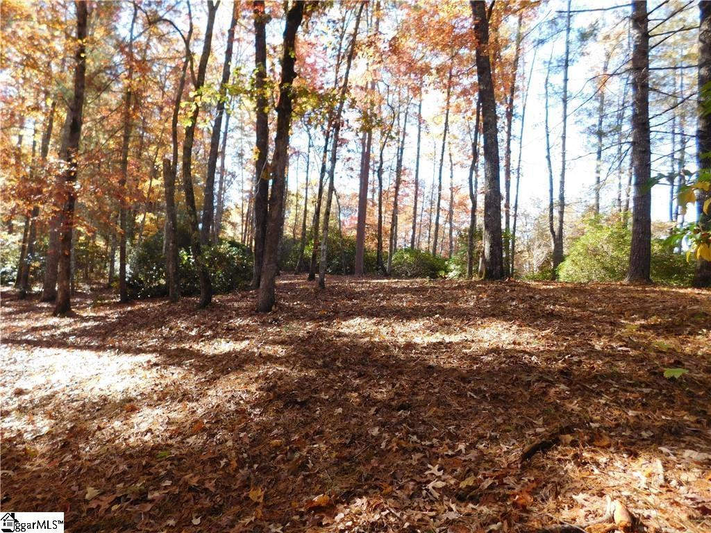 130 Cliffs Falls Parkway Property Photo 2