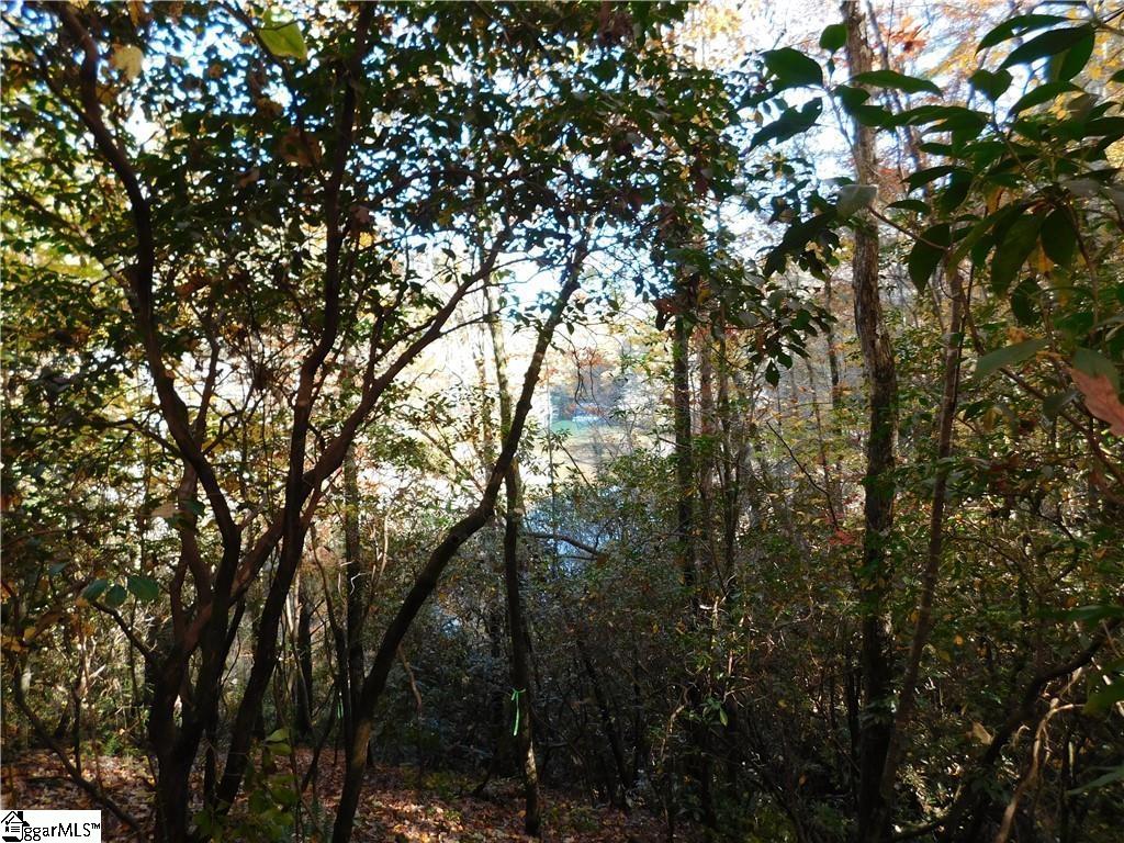 130 Cliffs Falls Parkway Property Photo 7