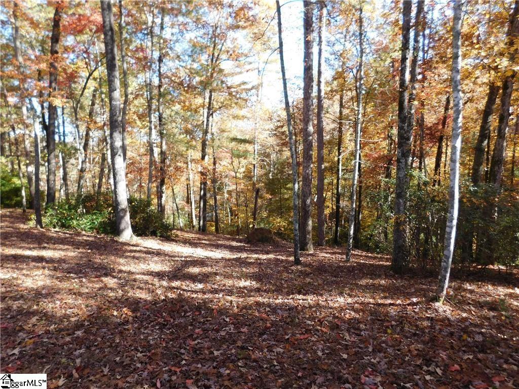 130 Cliffs Falls Parkway Property Photo 8