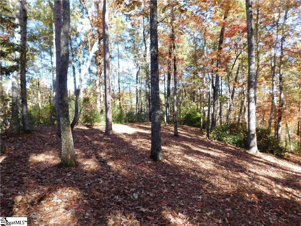130 Cliffs Falls Parkway Property Photo 9