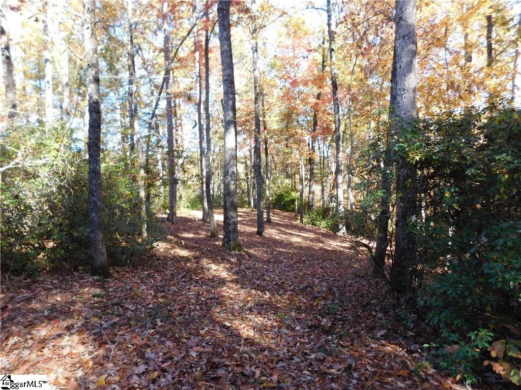 130 Cliffs Falls Parkway Property Photo 10